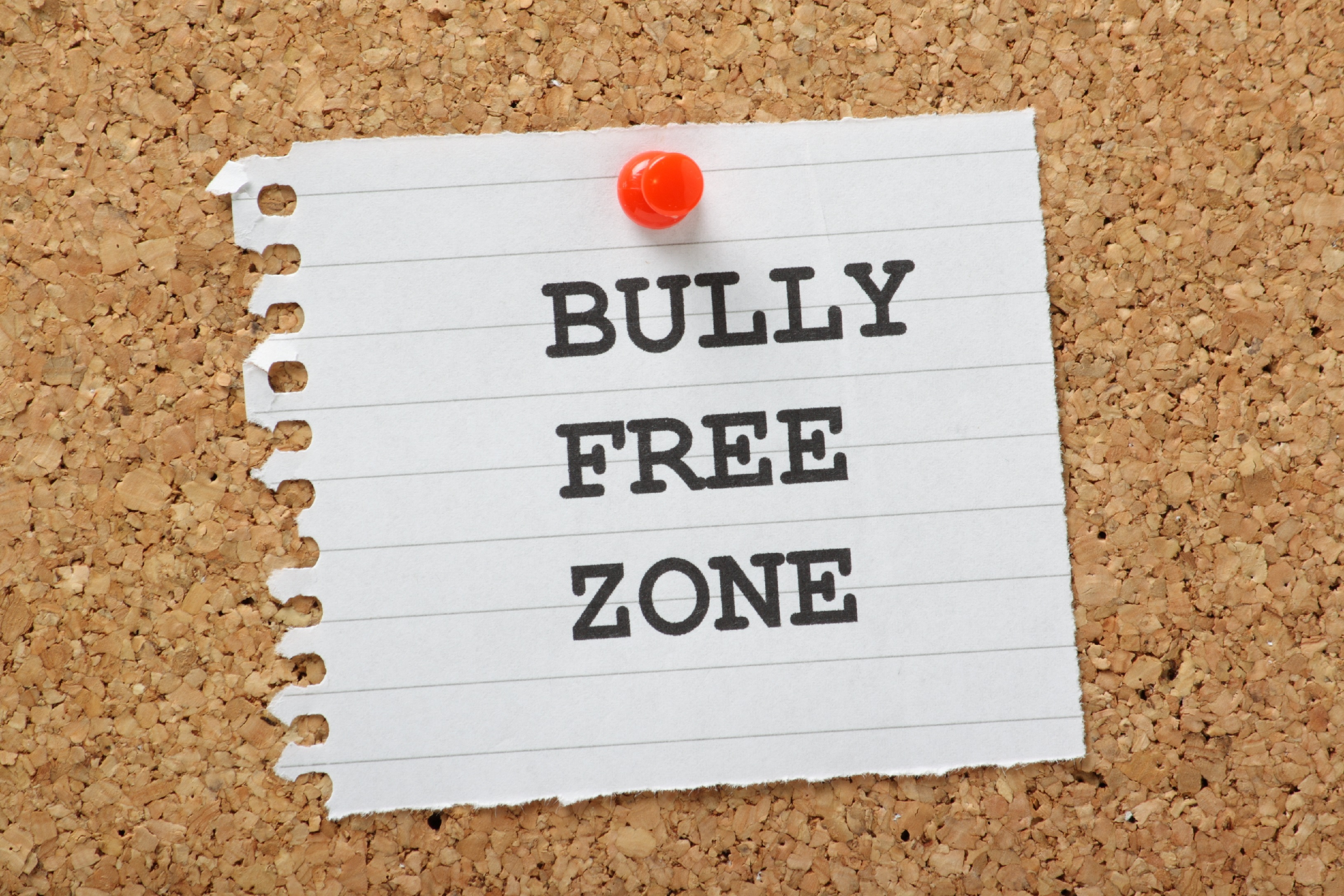 Steps Companies Can Take To Prevent Workplace Bullying