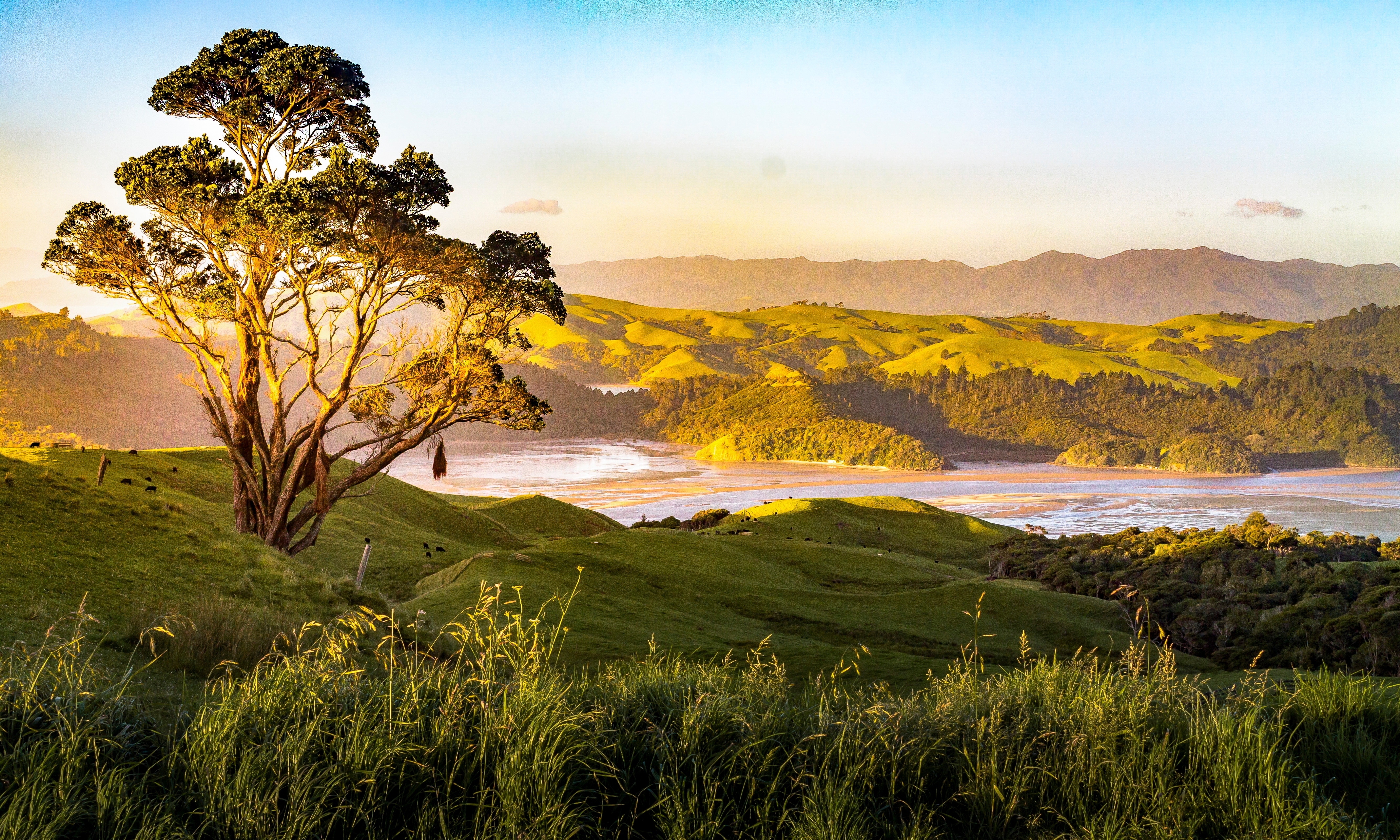 COROMANDEL