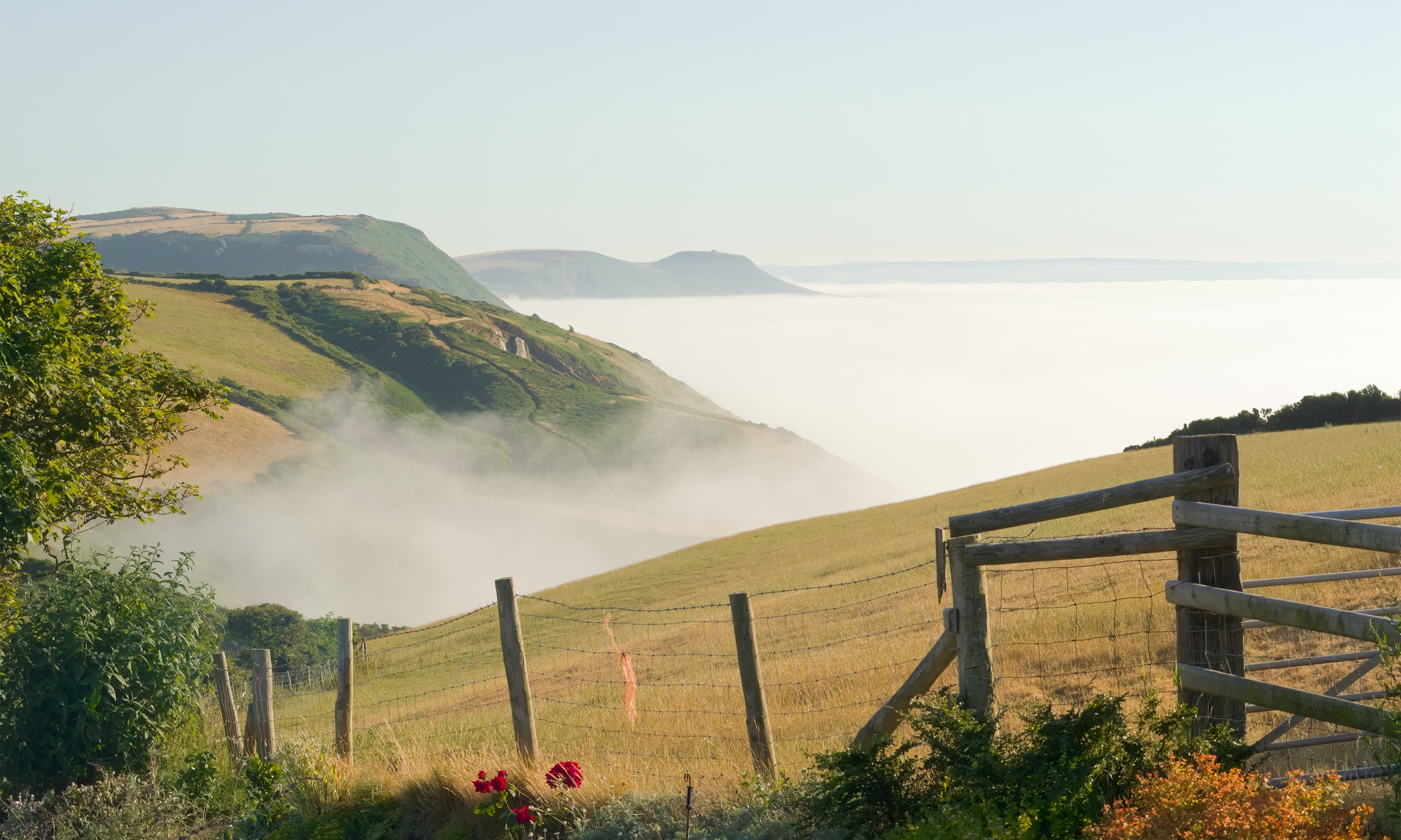 Dog friendly accommodation store new quay wales