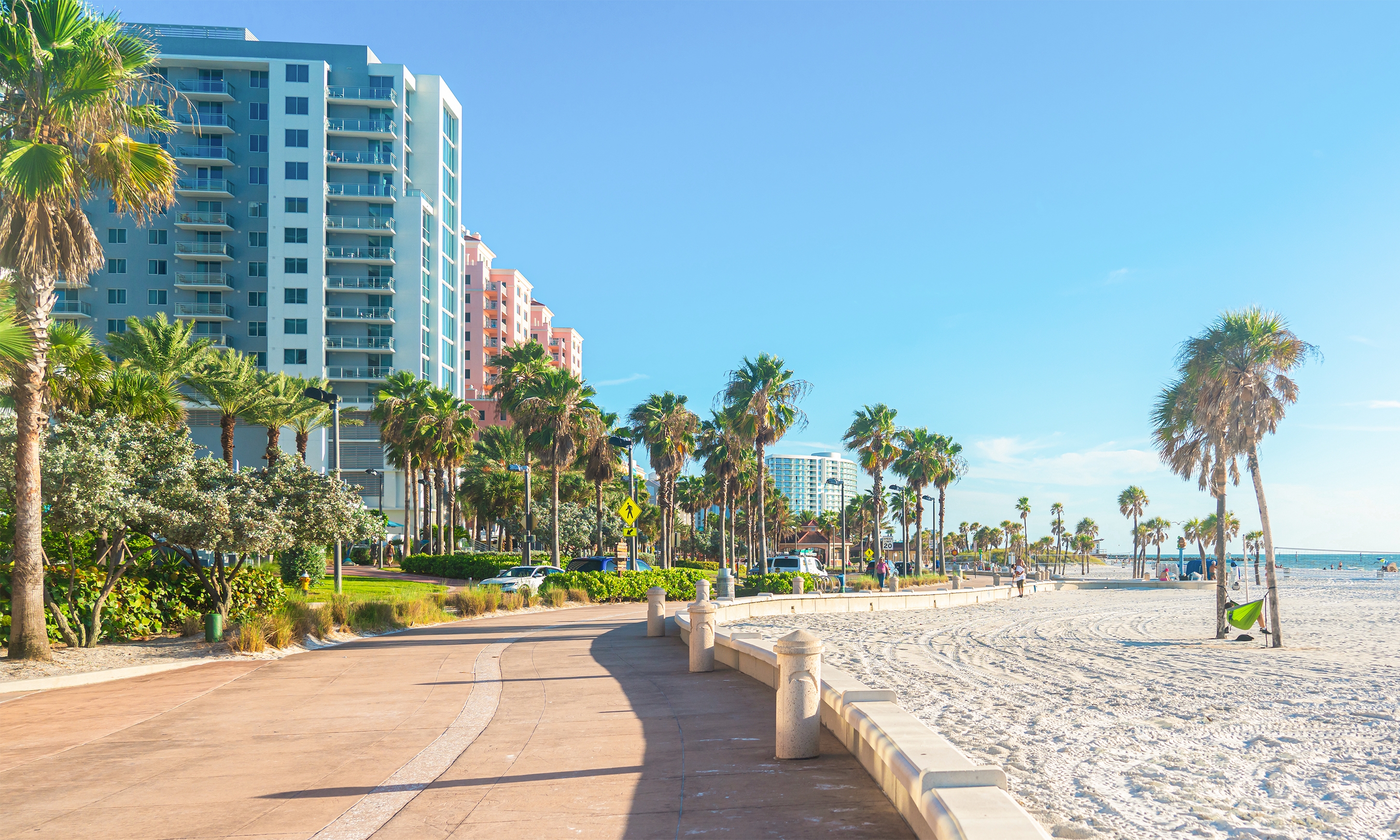 are dogs allowed on clearwater beach florida