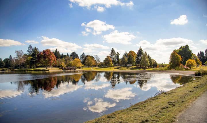 Tokoroa Holiday Rentals & Homes - Waikato Region, New Zealand | Airbnb