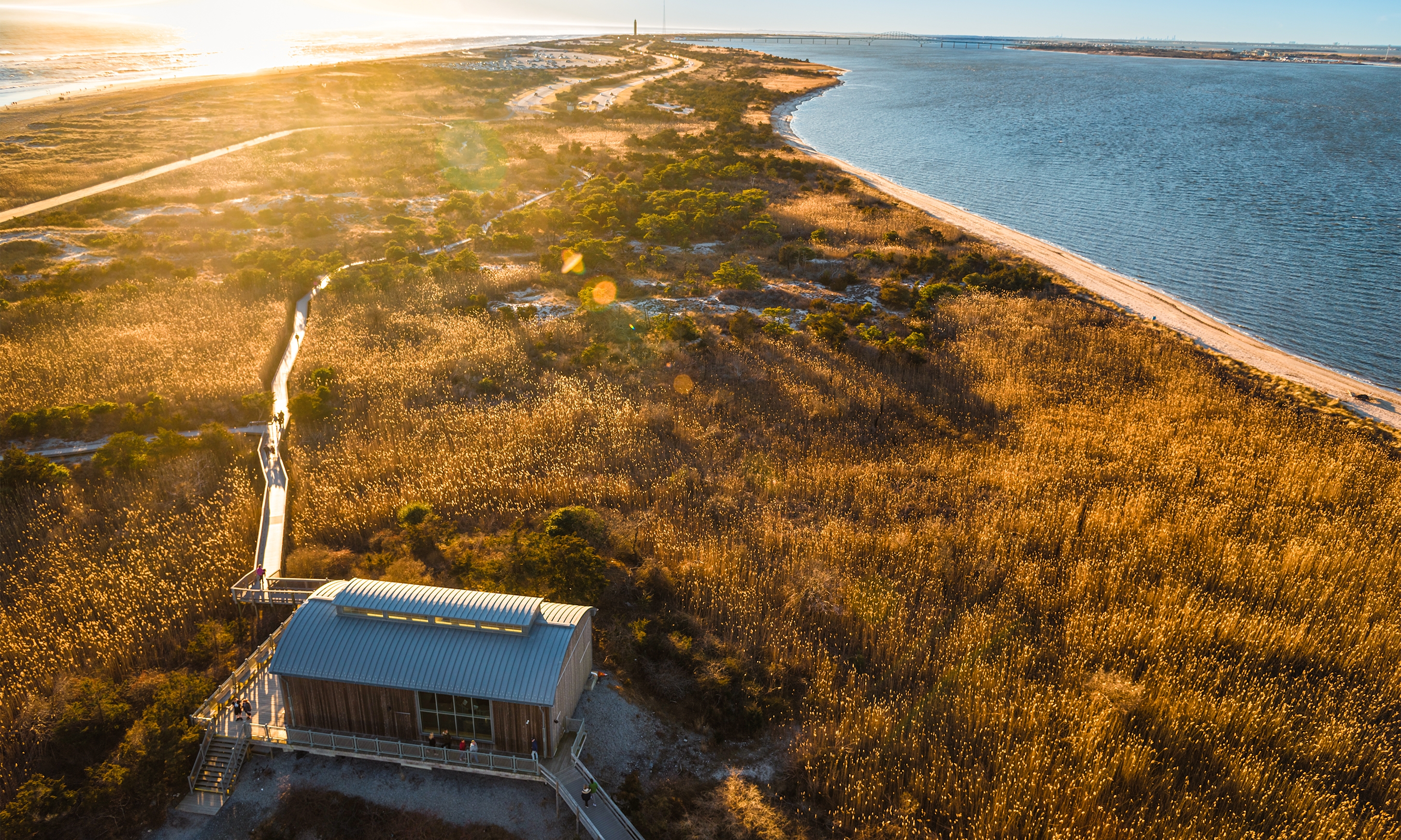 Discover the Best Ocean Beach Fire Island Rentals for Your Perfect Getaway