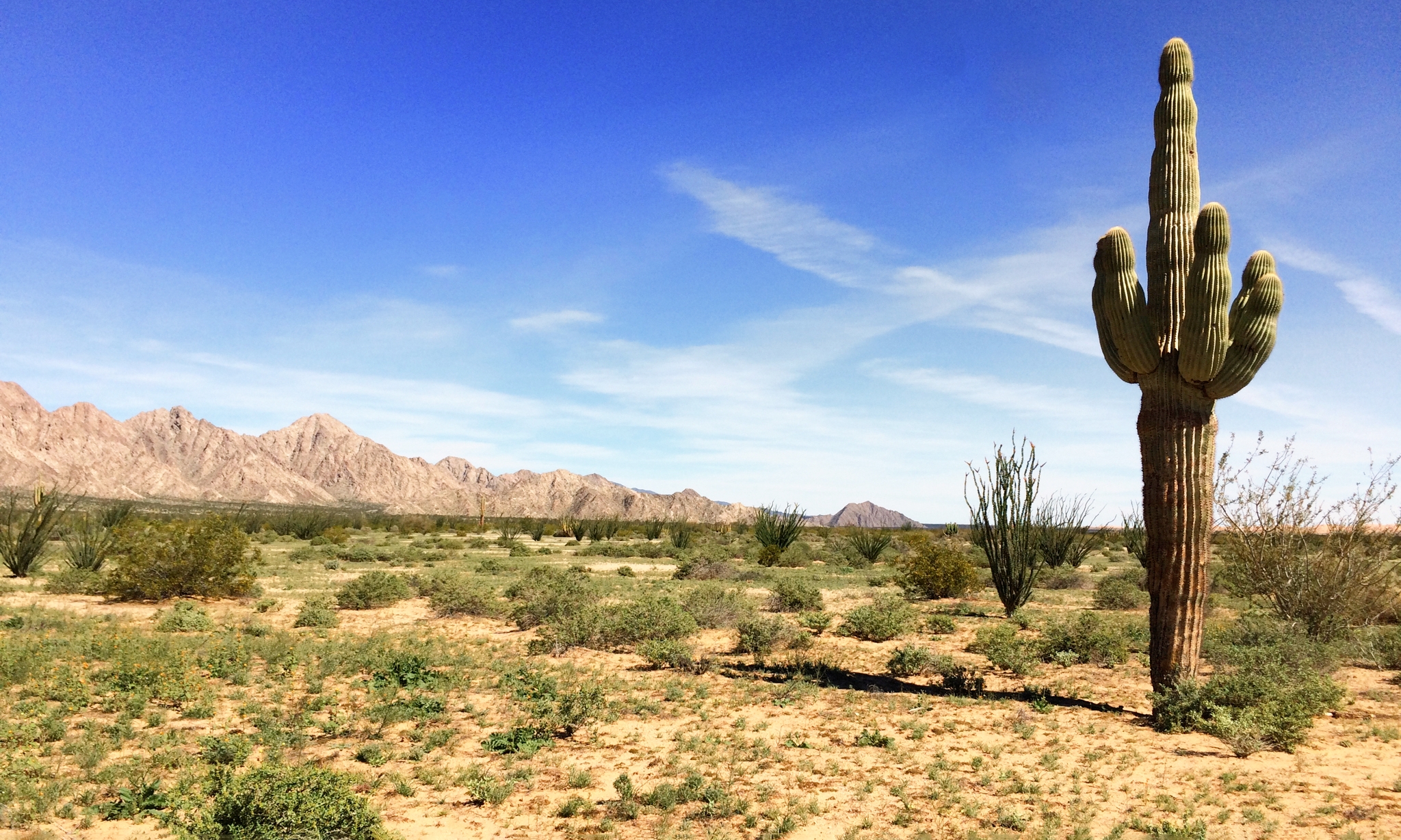 Puerto Peñasco: аренда домов на набережной - Sonora, Мексика | Airbnb