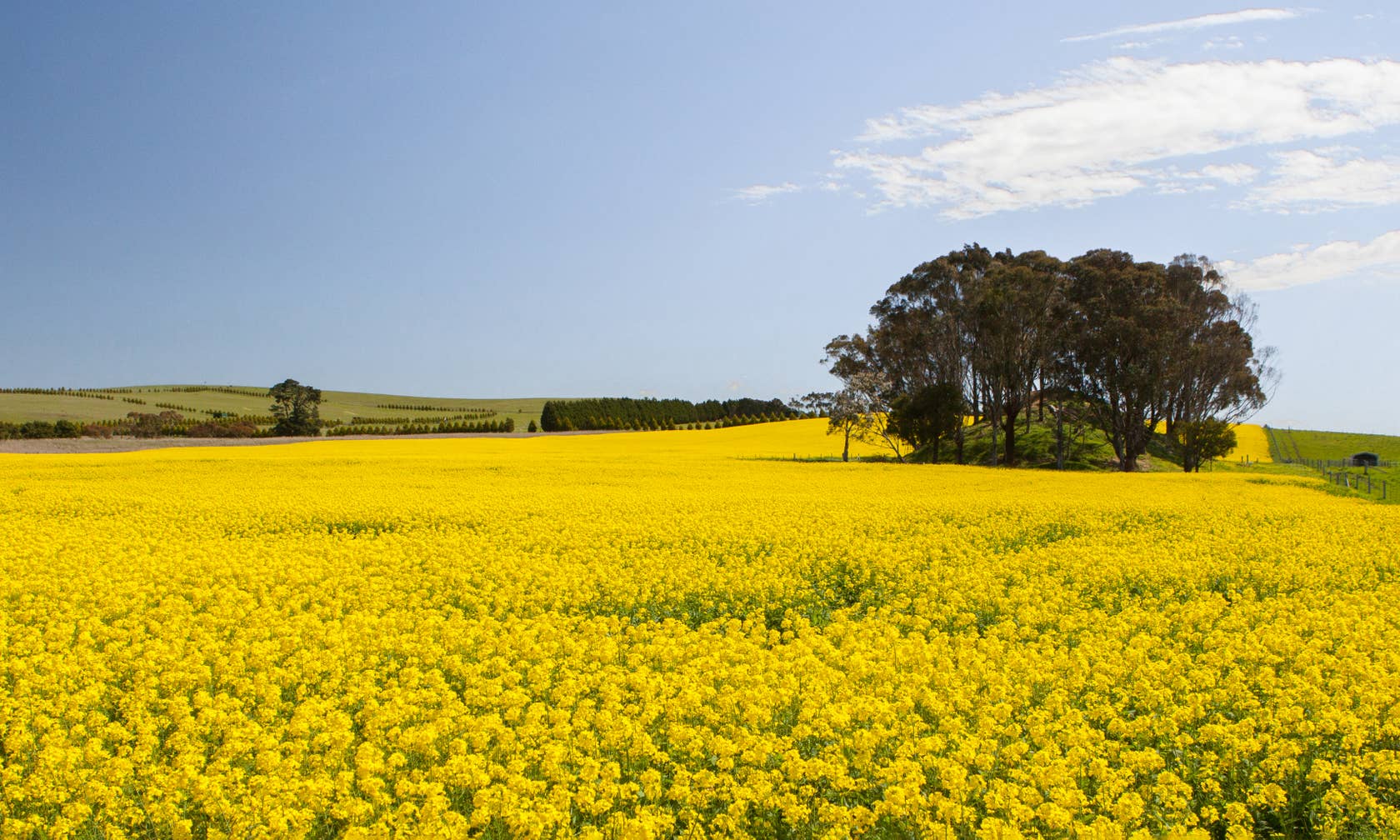 Vacation rentals in Creswick