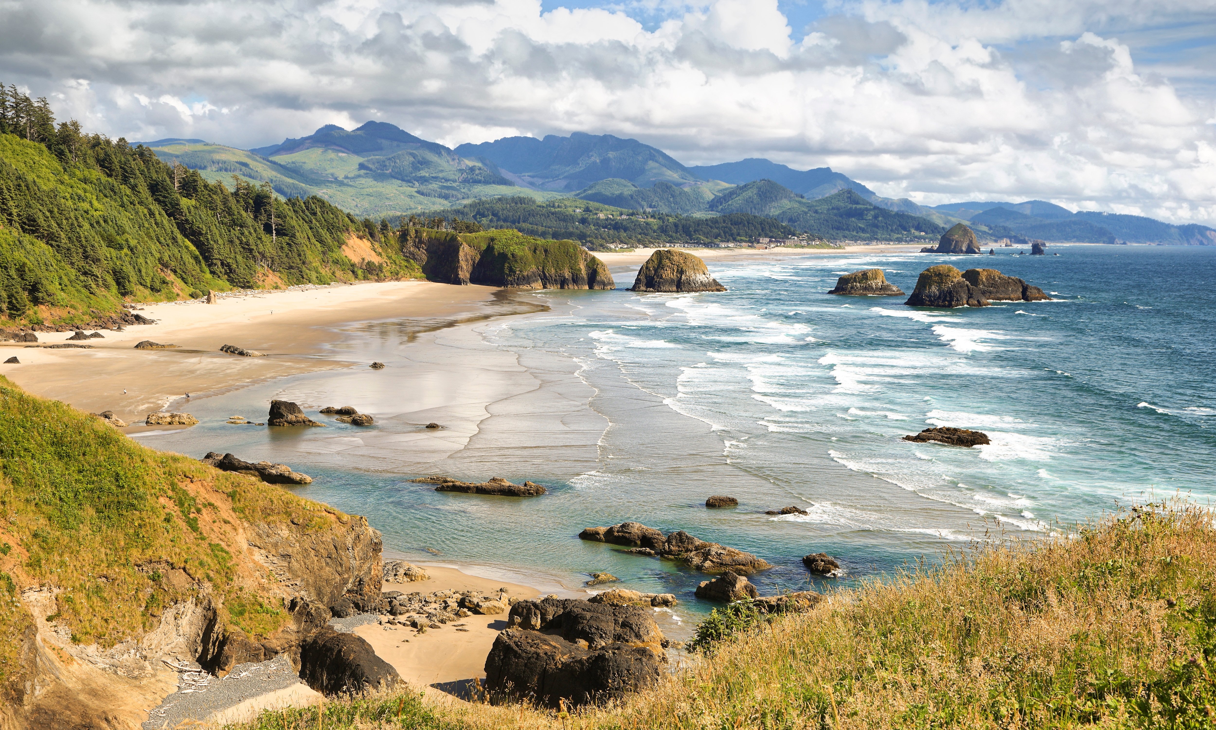 are dogs allowed on oregon beaches