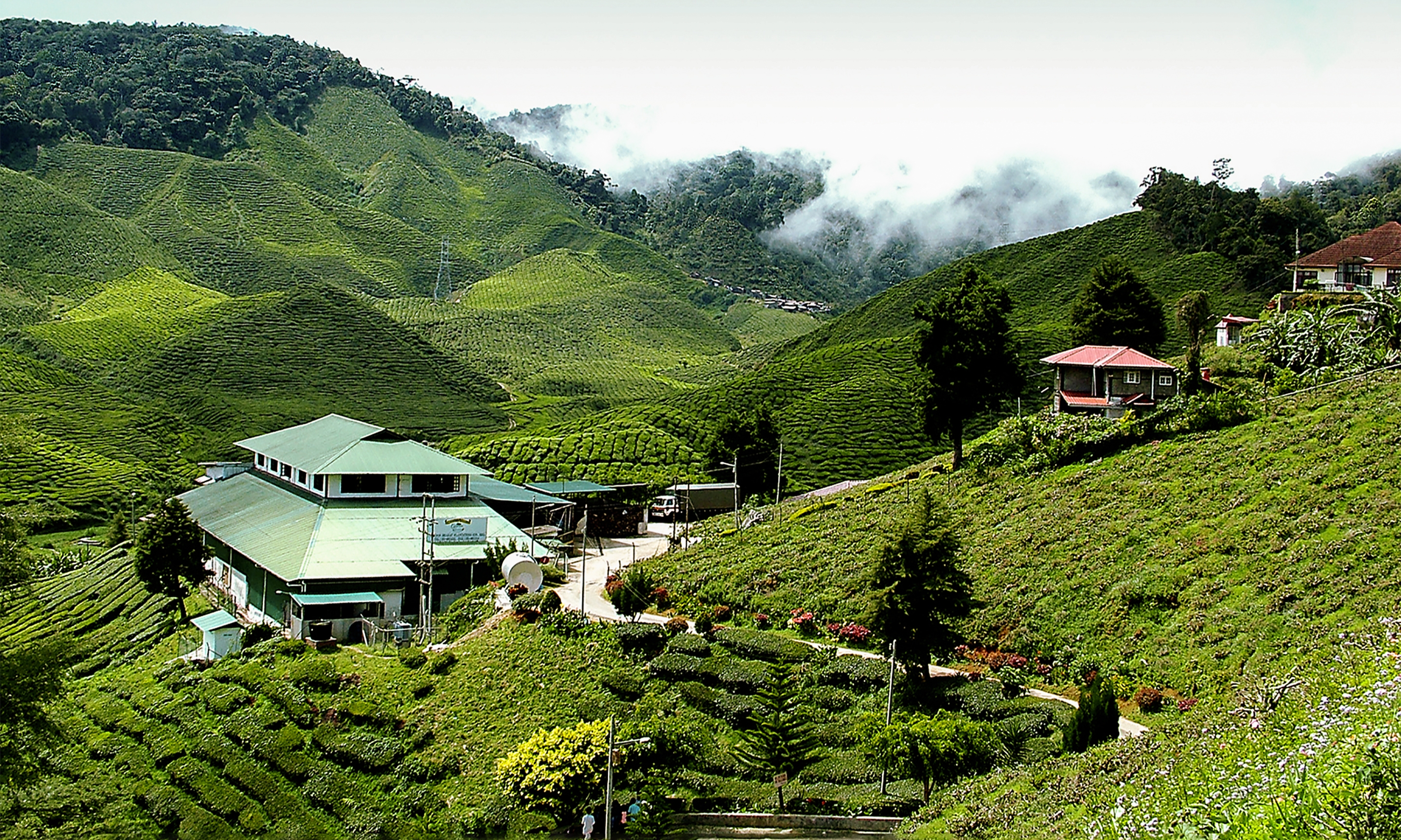 Temperature cameron highlands Cameron Highlands,