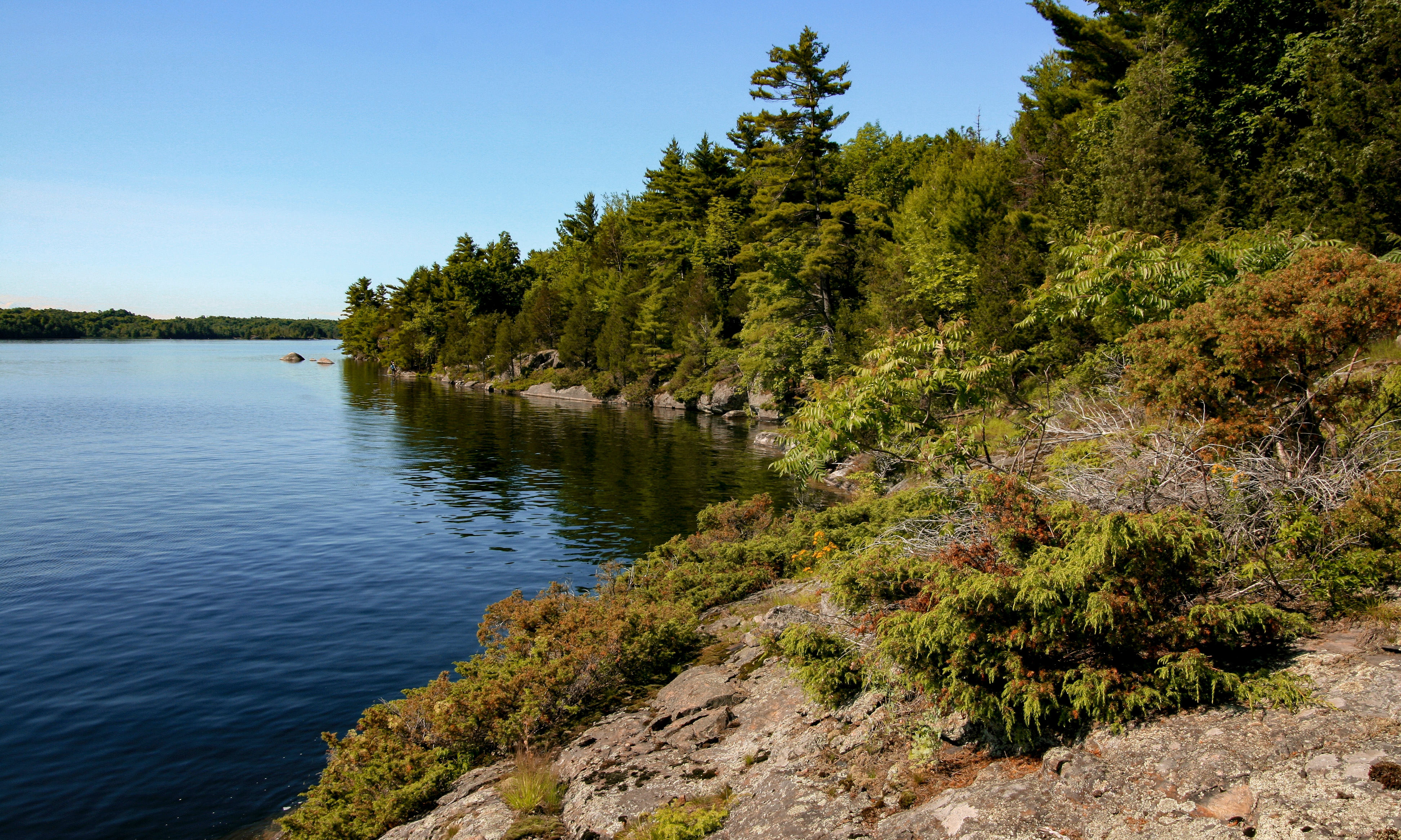 charleston lake boat rentals