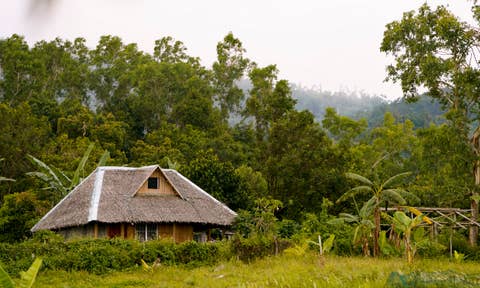 Bacolod : logements avec aire de repos extérieure