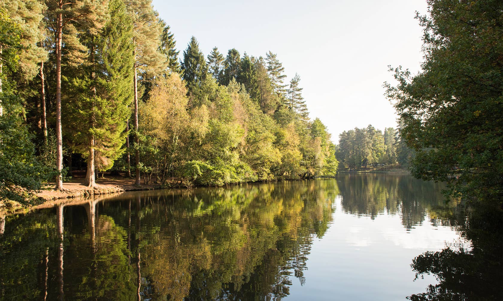 Alquileres vacacionales en Forest of Dean District