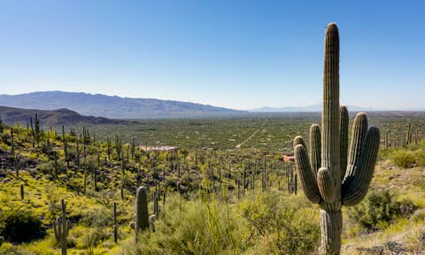 Mount Lemmon places to stay