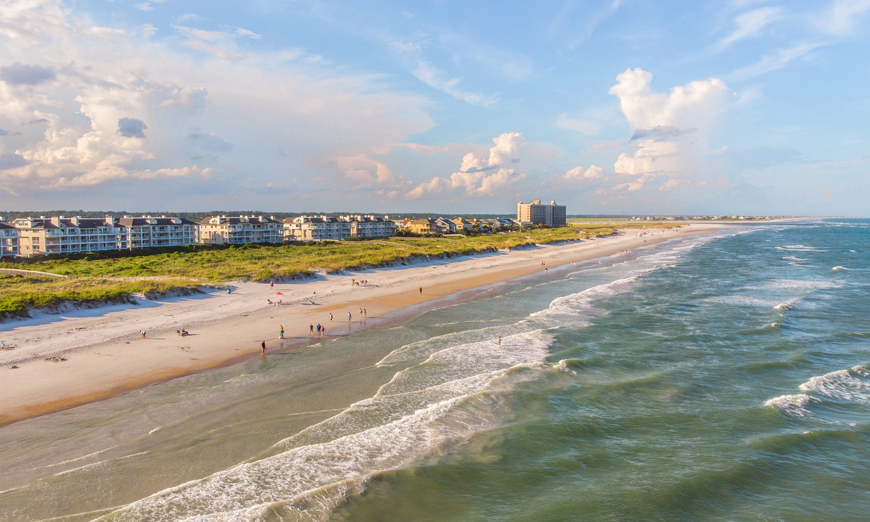 what beaches allow dogs in north carolina