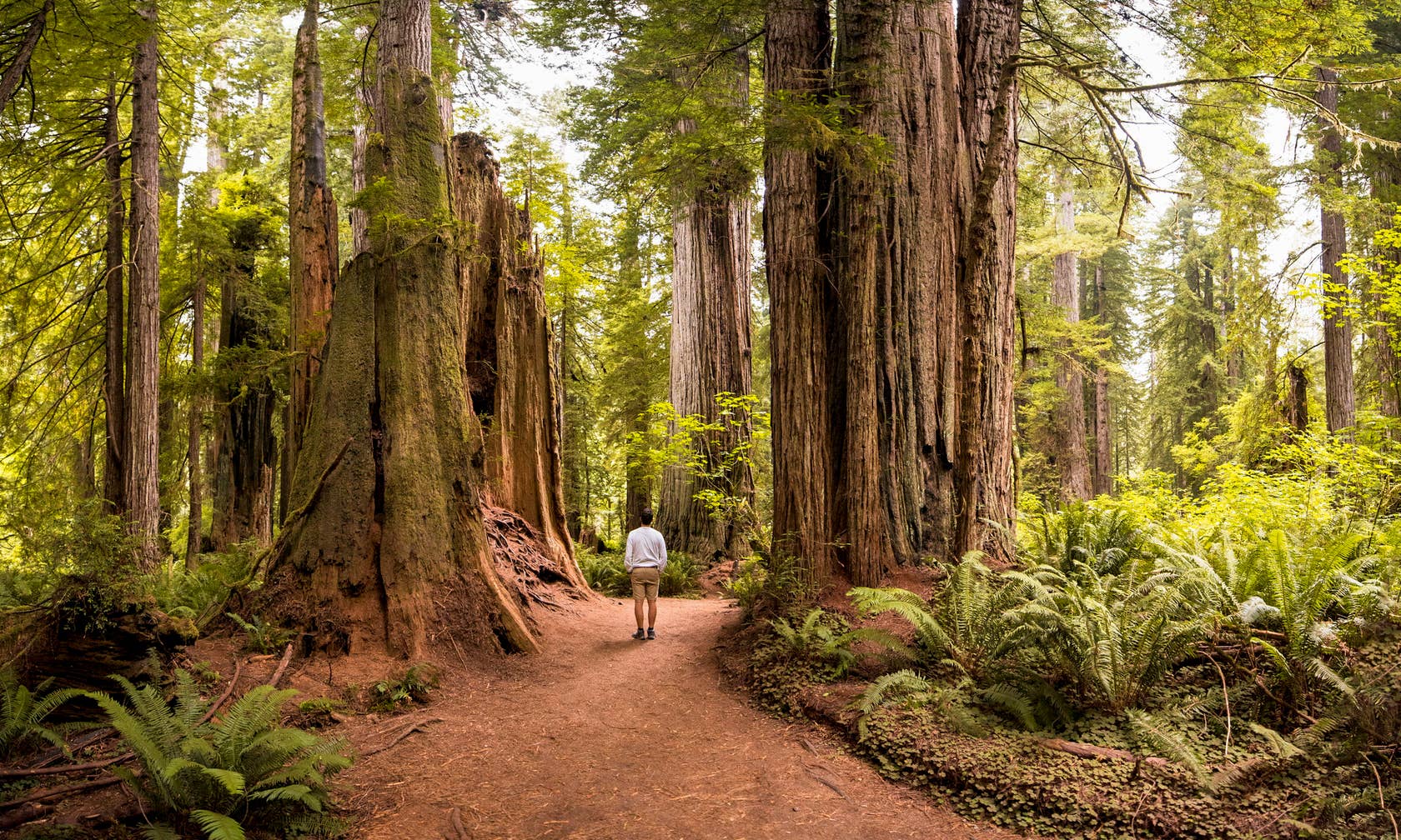 Sequoia National Forest : locations saisonnières