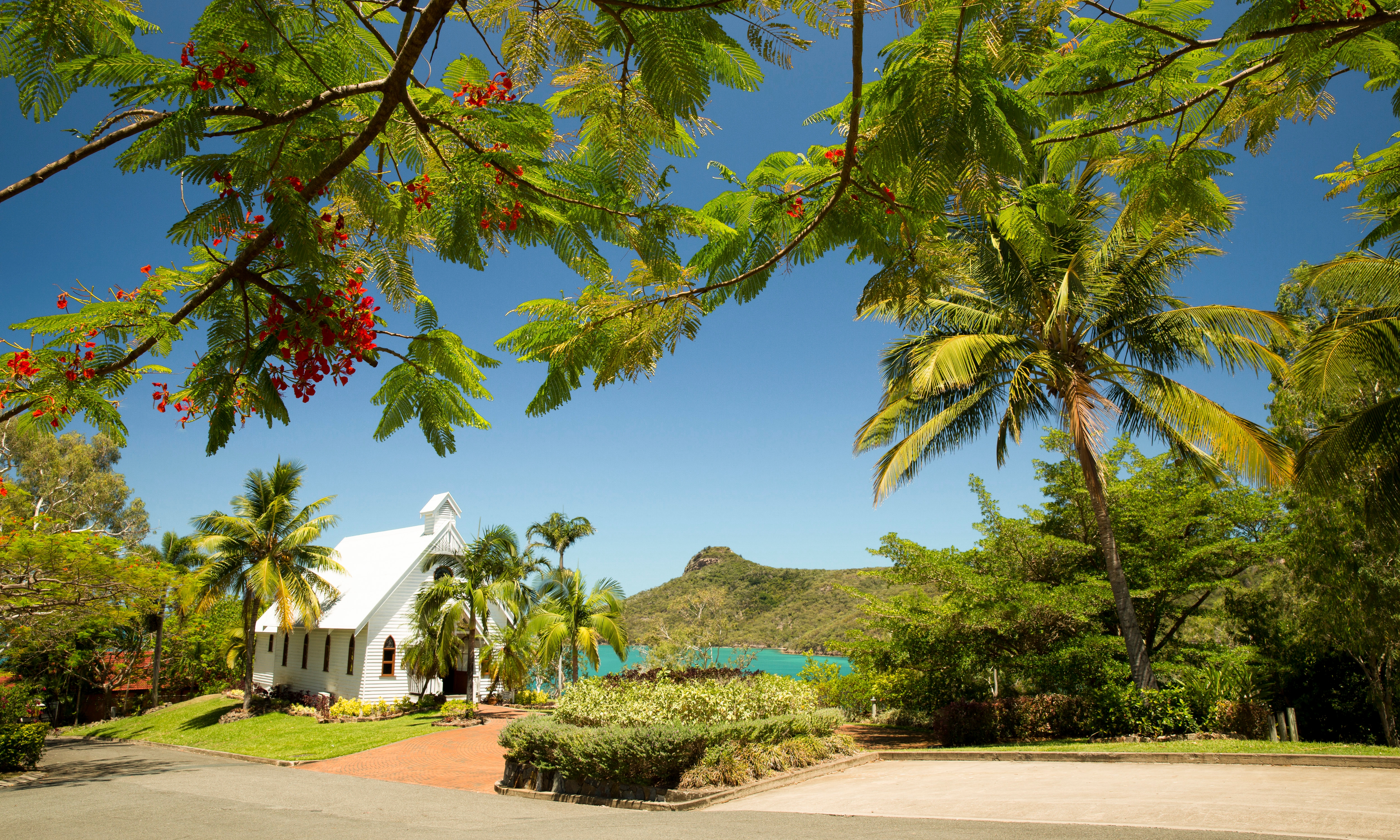 are dogs allowed on hamilton island