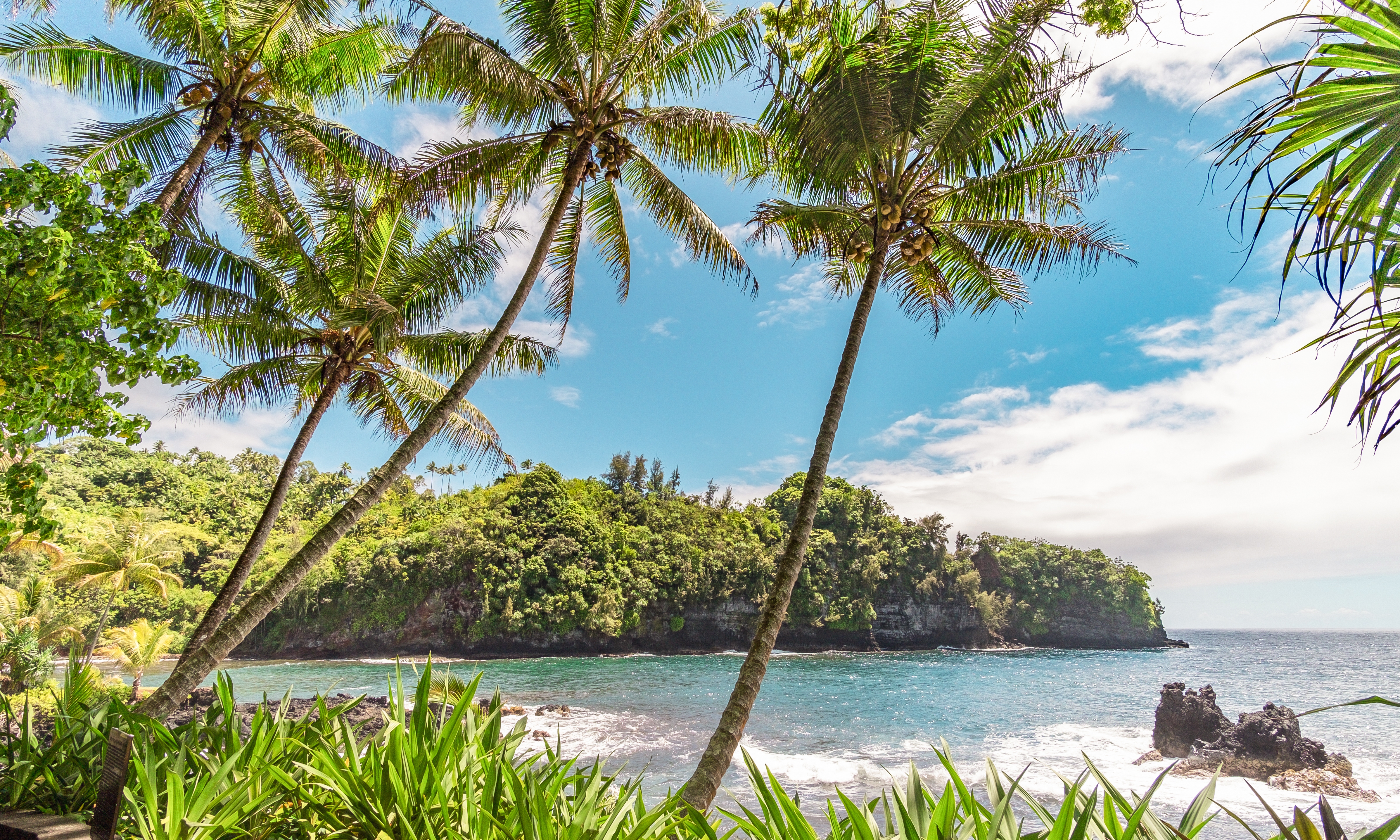 Living in Hilo, Hawaii  Insider's Guide to Hilo