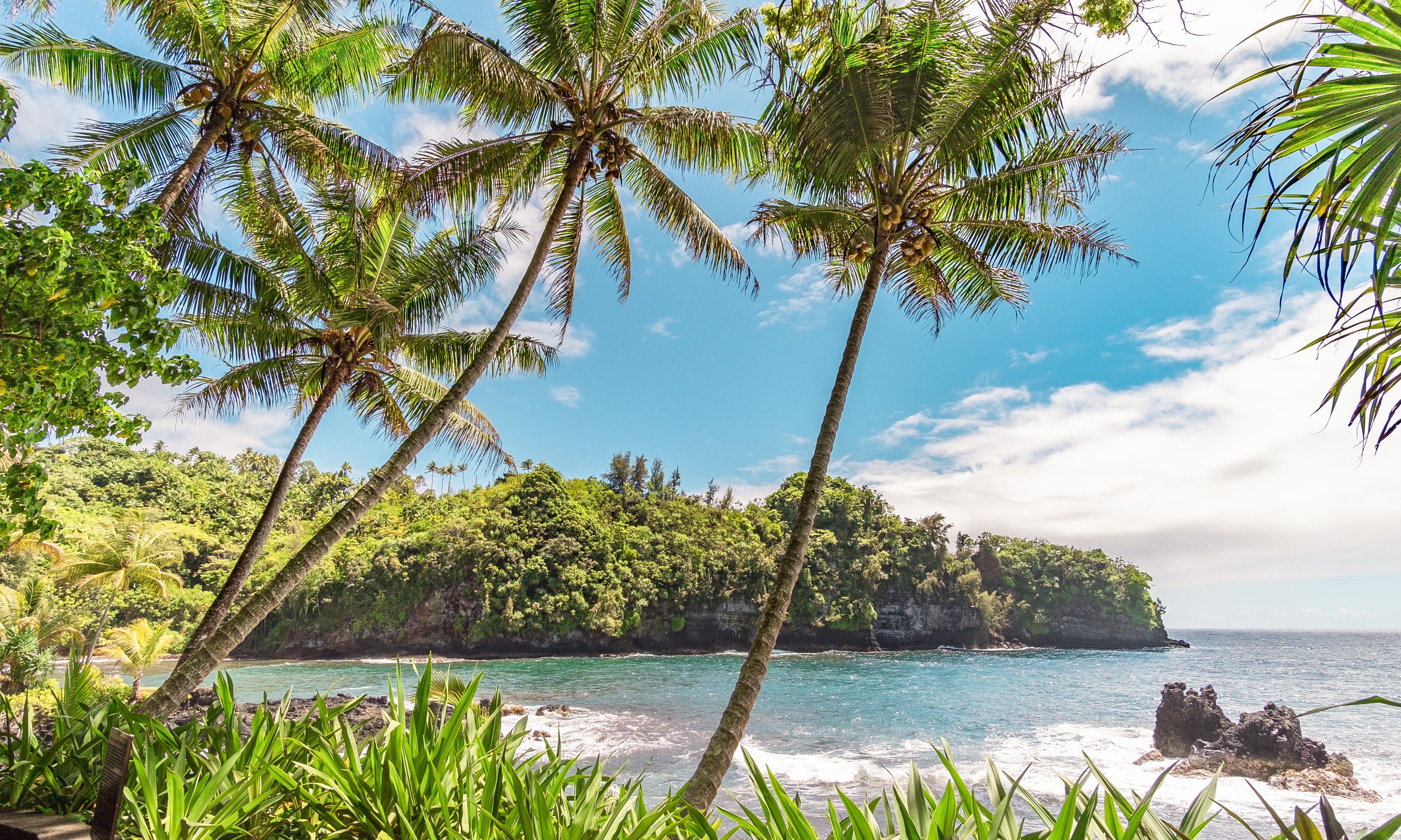 Hilo Oceanfront Hotel, Hilo Hawaiian Hotel