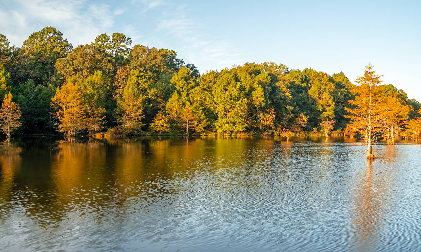 Broken Bow cabins