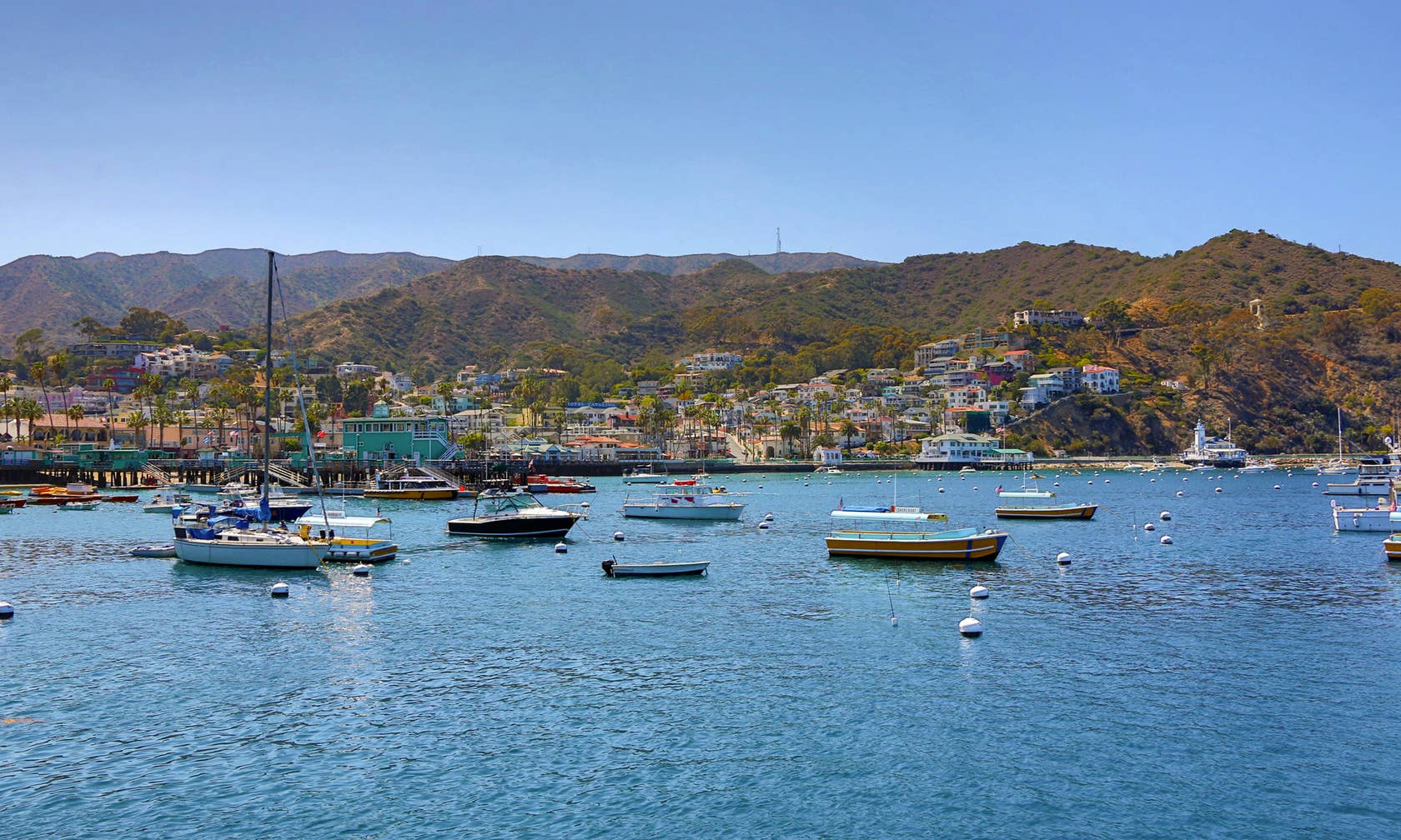 Santa Catalina Island vacation rentals