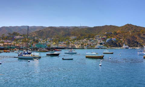 Santa Catalina Adası konumunda kiralık tatil yerleri