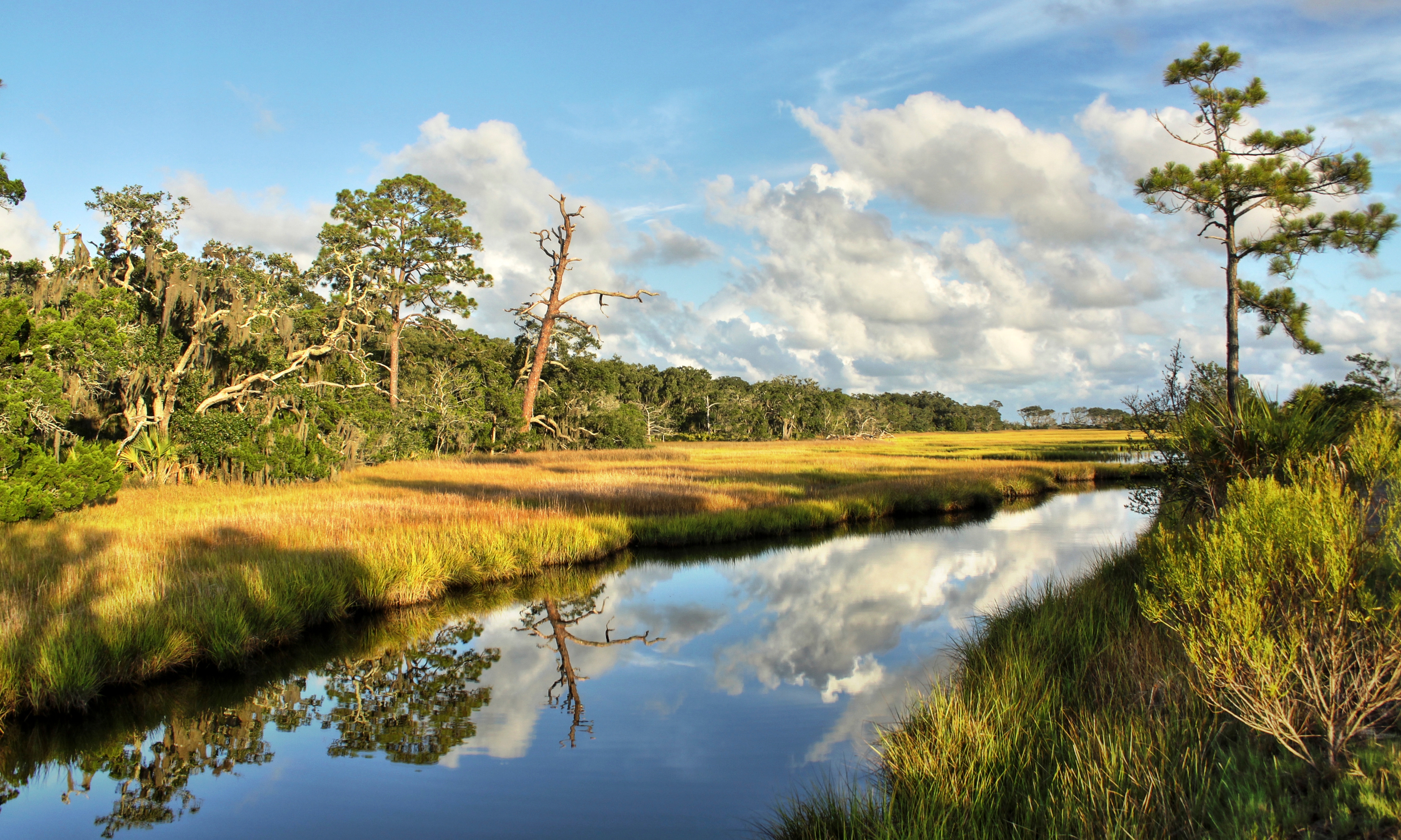 Jekyll Island Vacation Rentals, Homes and More