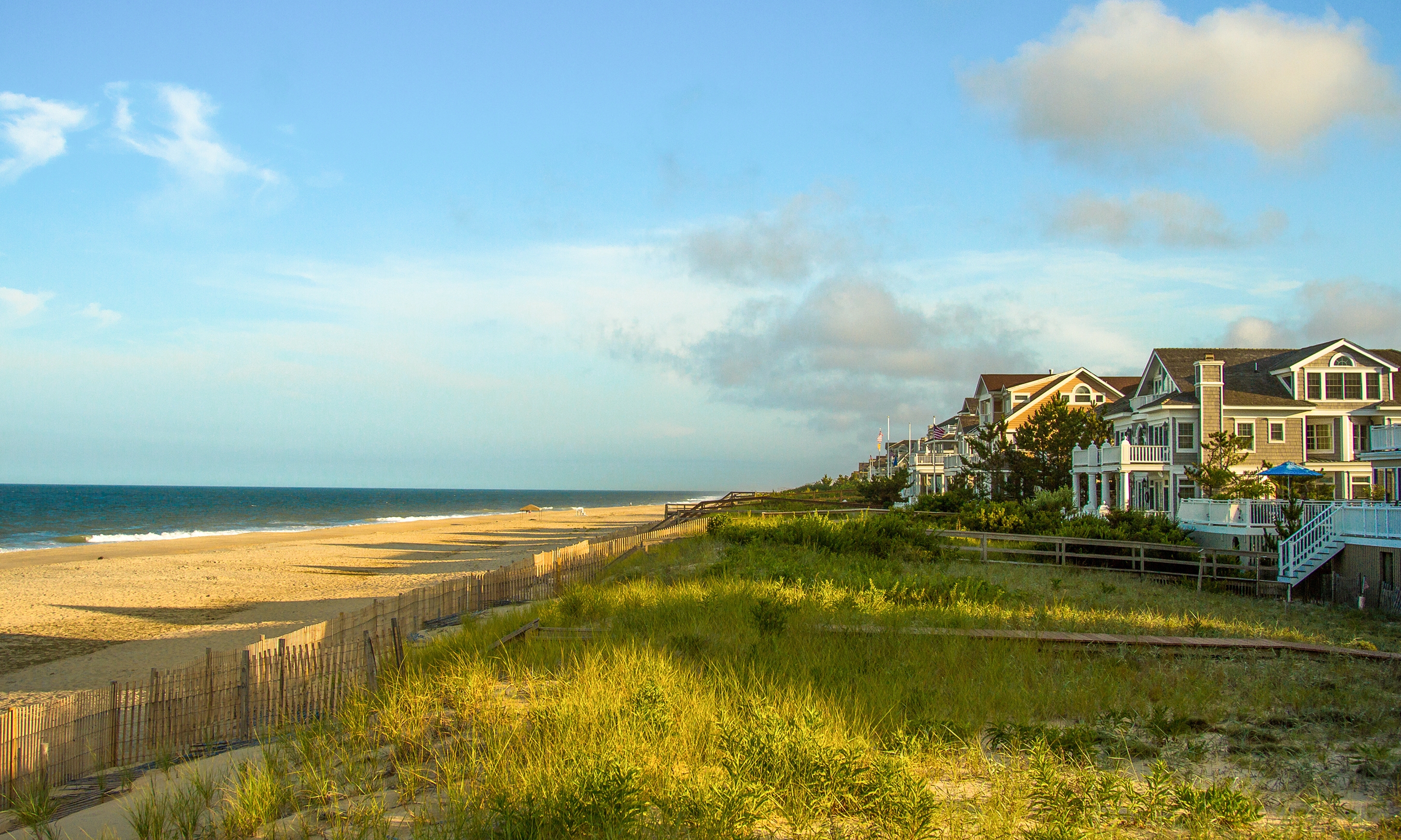 Discover Pet-Friendly Beach Rentals in Delaware: A Complete Guide