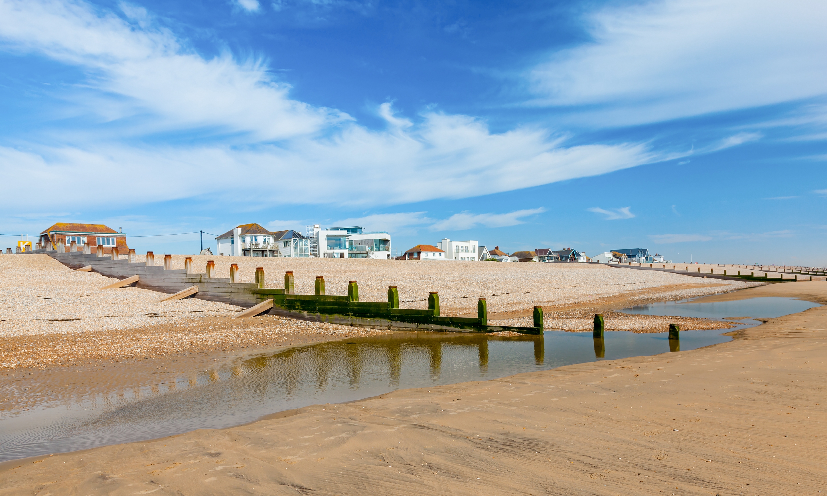 can dogs go camber beach