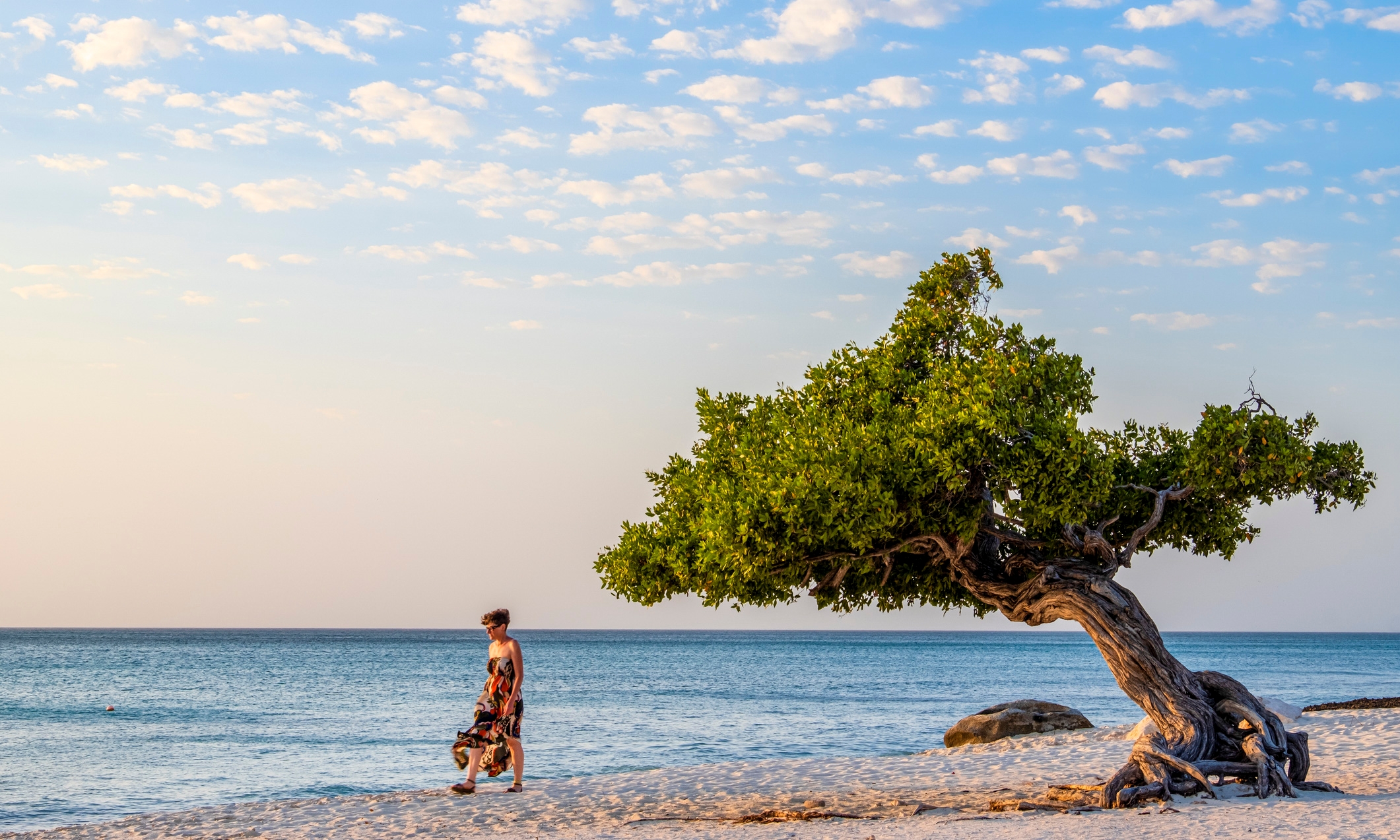 aruba-location-d-appart-h-tels-airbnb