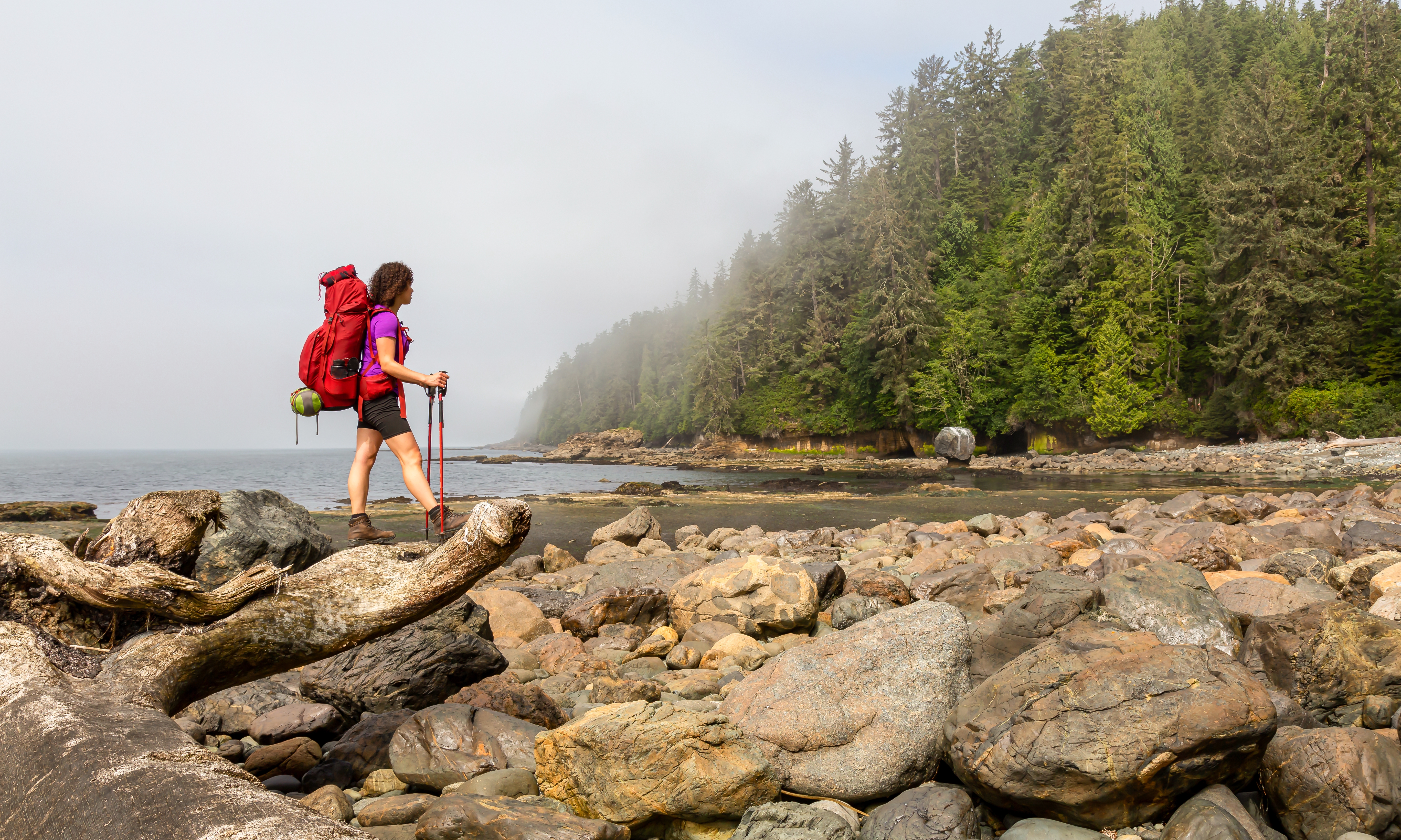 North Shore Hiking Trails in North and West Vancouver