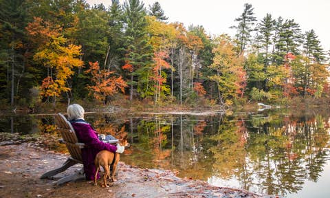 Pet-friendly home rentals in New Hampshire