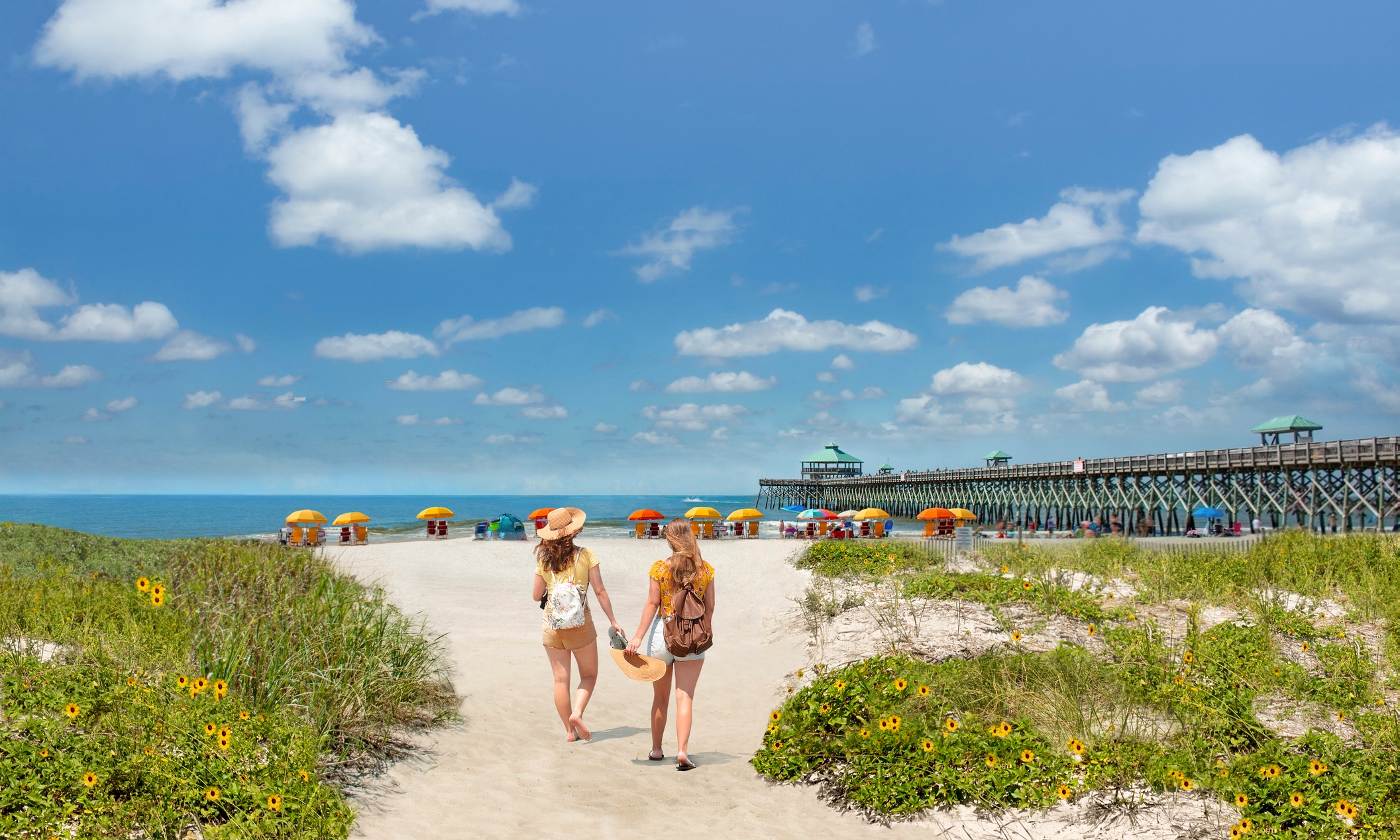 Pet-Friendly Beach Rentals in Folly Beach, SC: Your Ultimate Guide