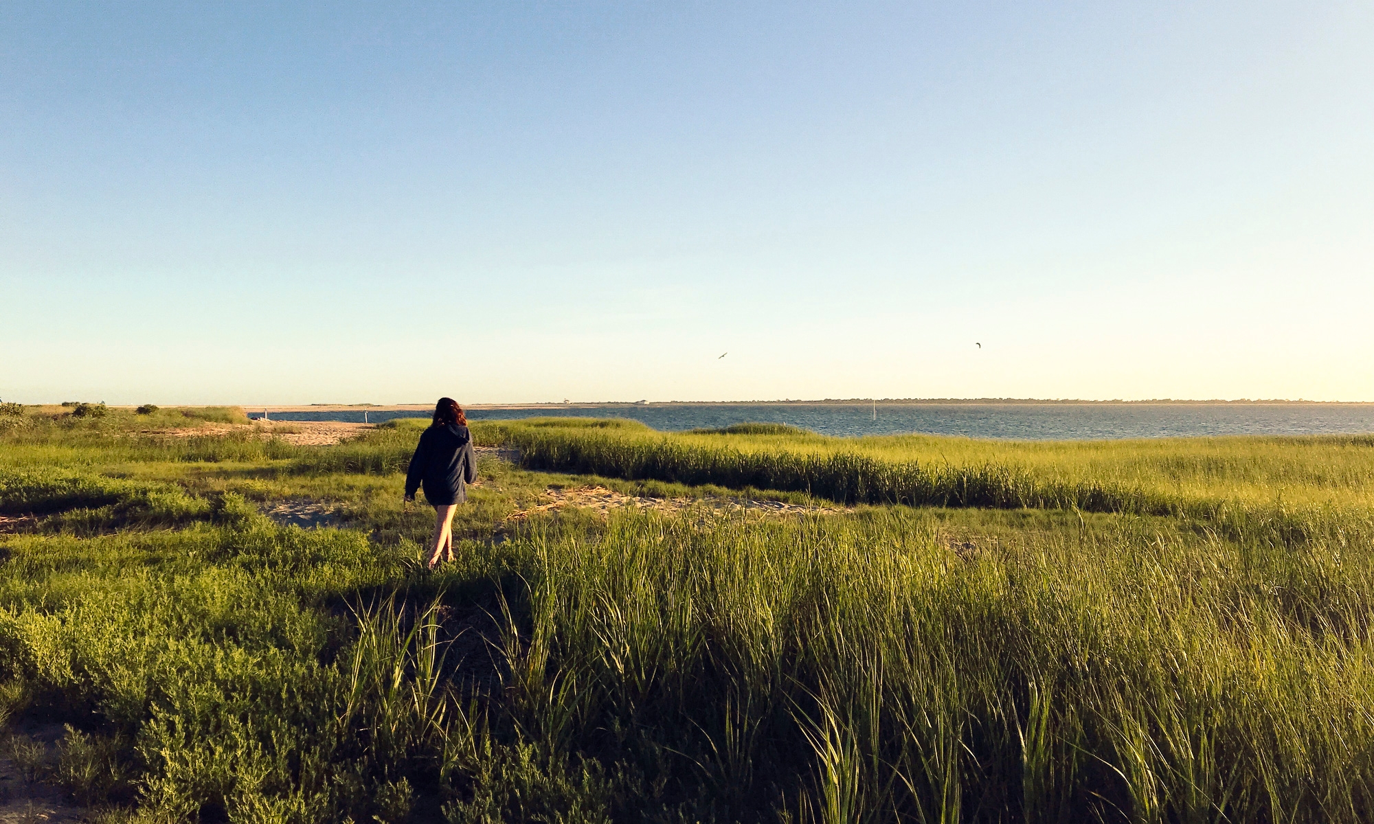 Chincoteague Cabin Rentals