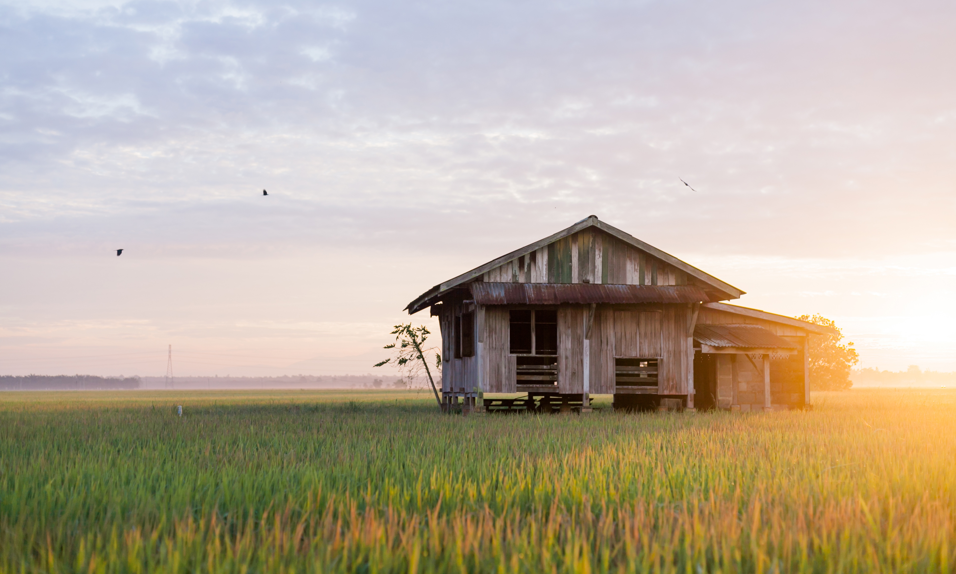 Homestay paddy house Ba’Kalalan