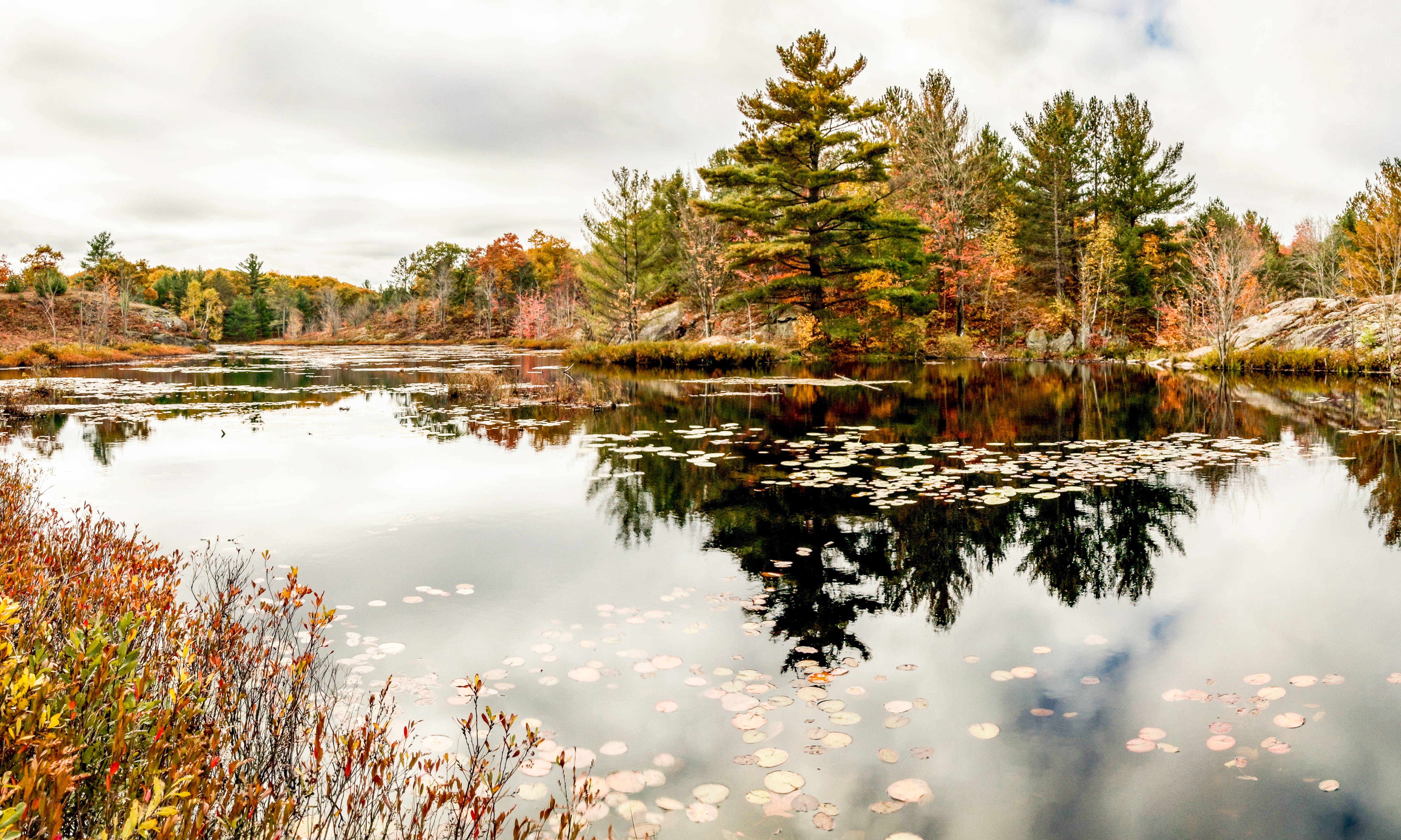 Communities and towns in the Kawartha Lakes including Bobcaygeon