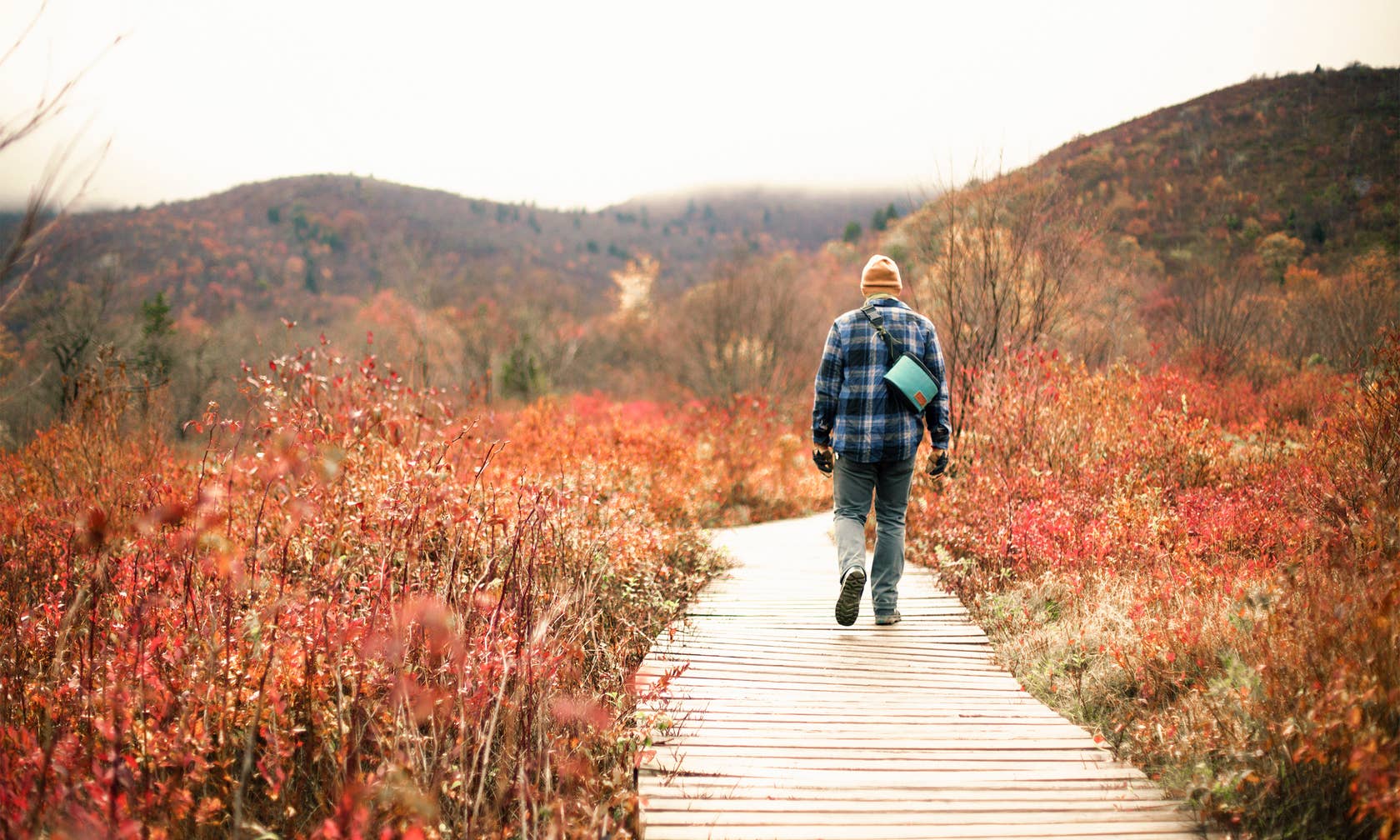 Cabin and bed and breakfast rentals in Asheville