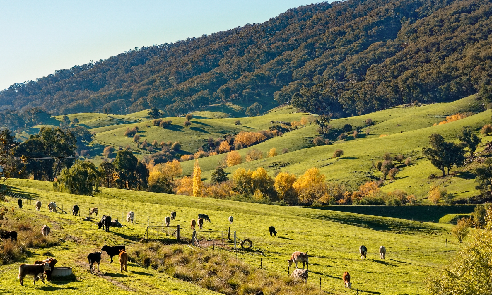 Yackandandah Holiday Rentals & Homes Victoria, Australia Airbnb