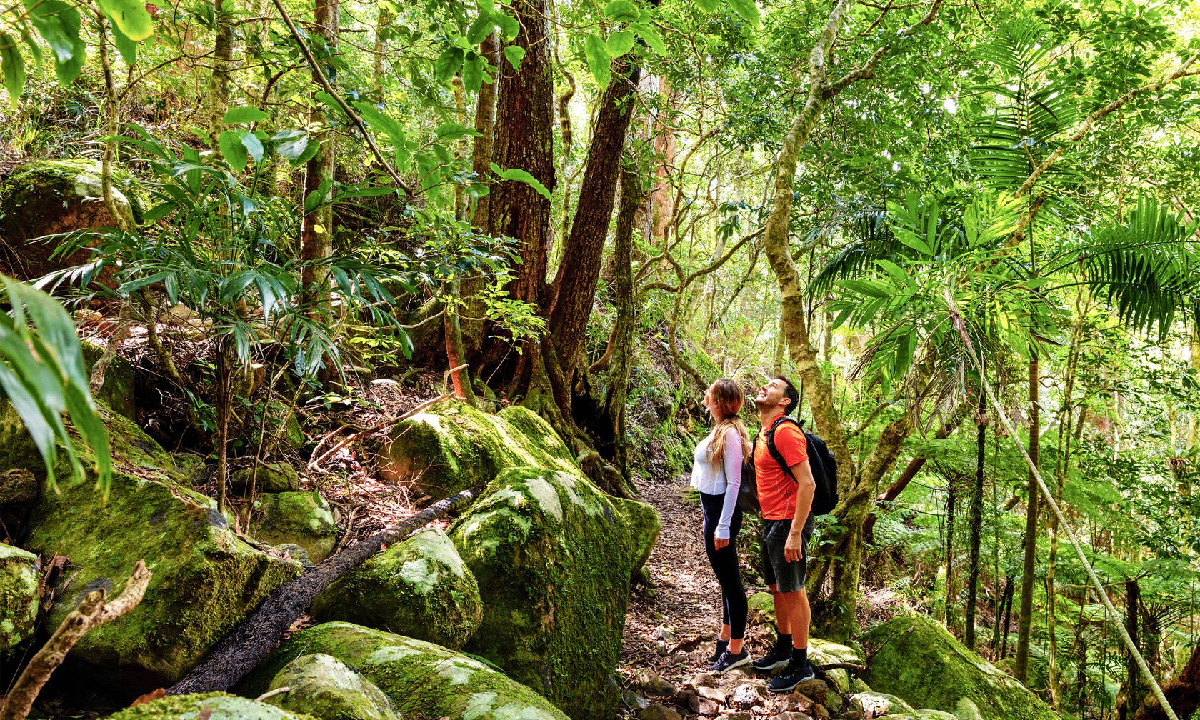 Springbrook vacation rentals