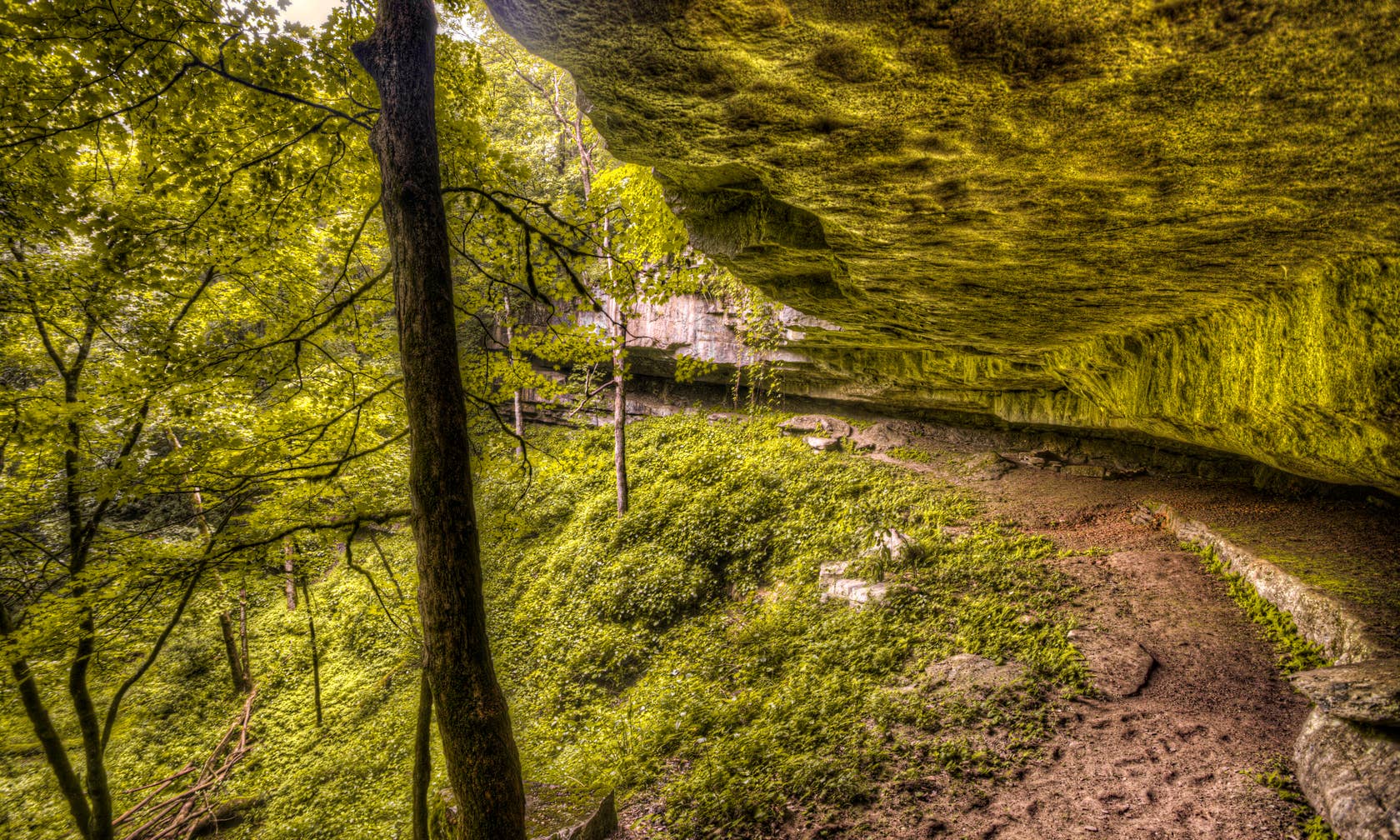 Mammoth Cave : locations saisonnières