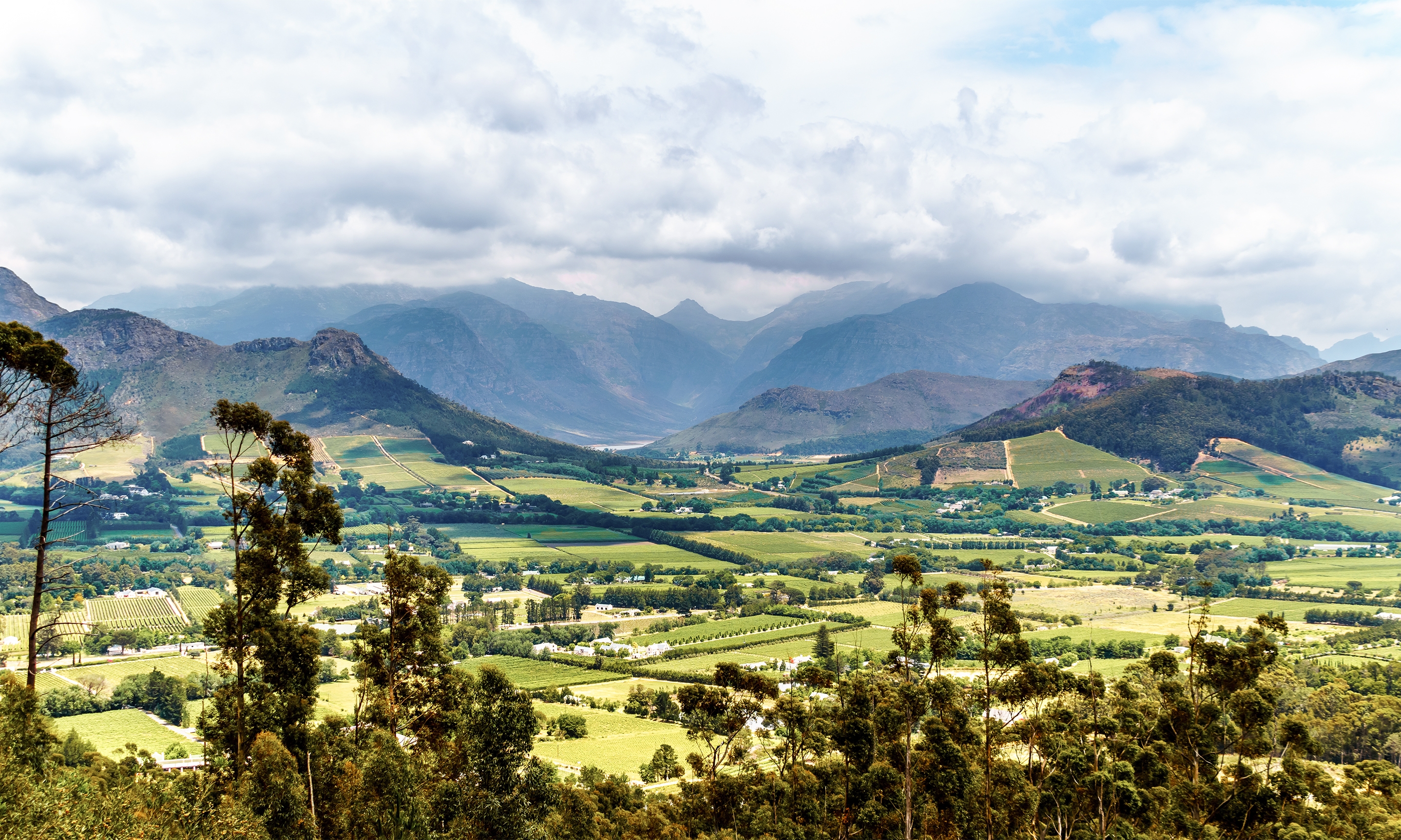 Franschhoek Village Market: An Artisanal Craft + Food Market