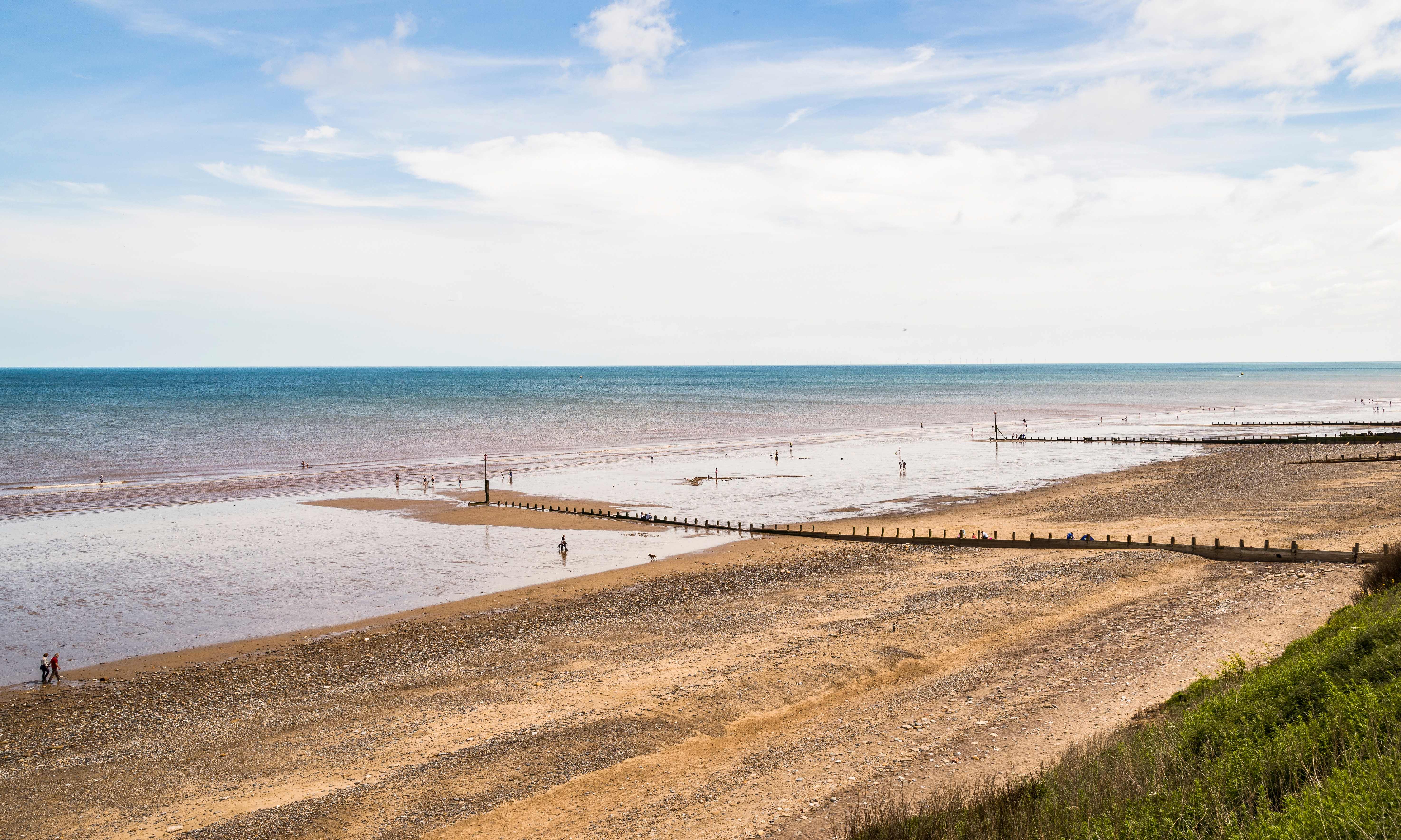 is hornsea beach dog friendly