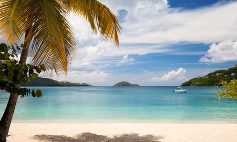 Vacation rentals in St. Thomas