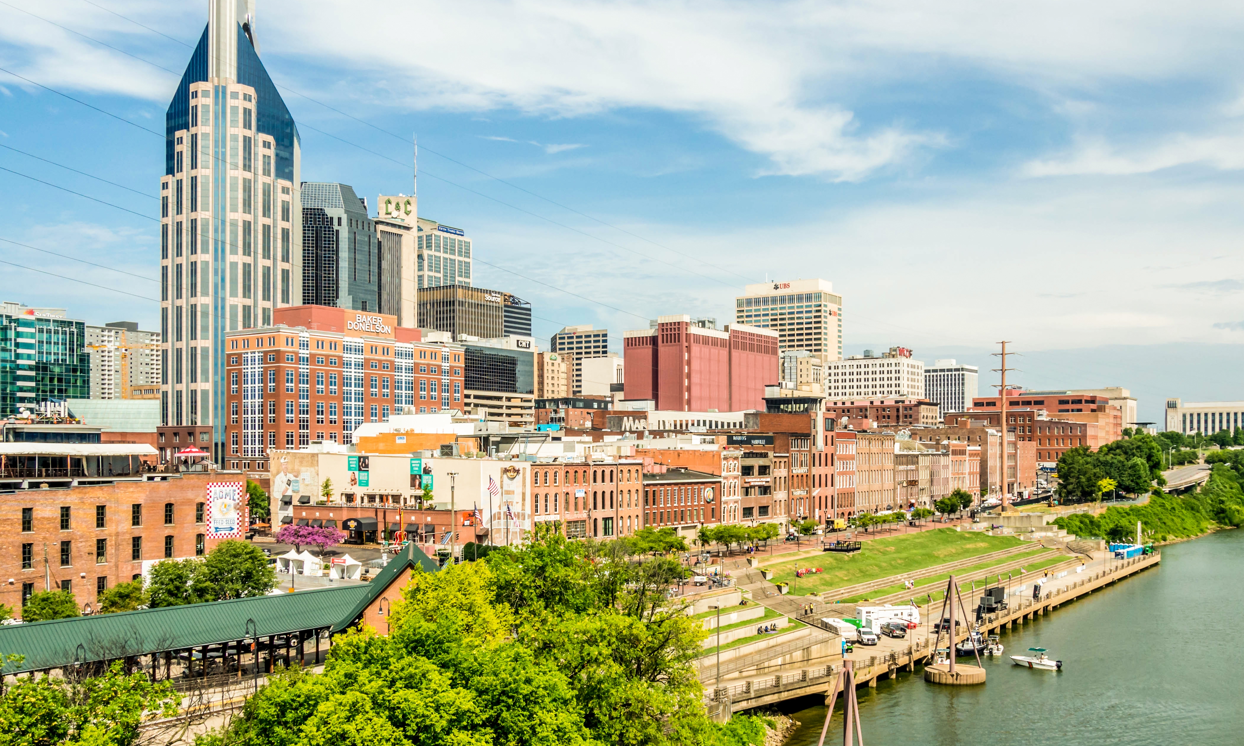 Love, Guitars, And The Nashville Skyline