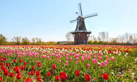 Изнајмување на сместувања за одмор во Holland
