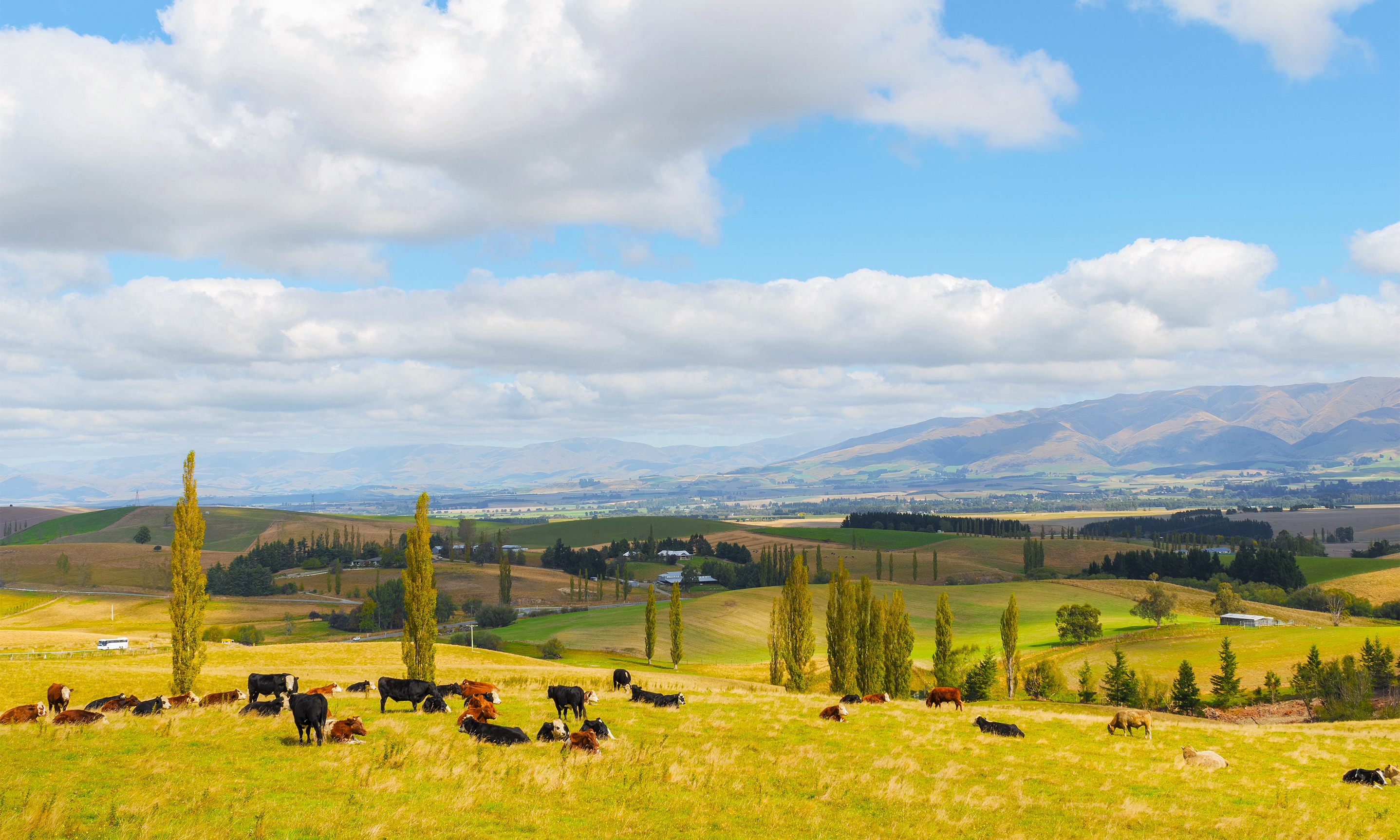 Fairlie Жилье - Canterbury, Новая Зеландия | Airbnb