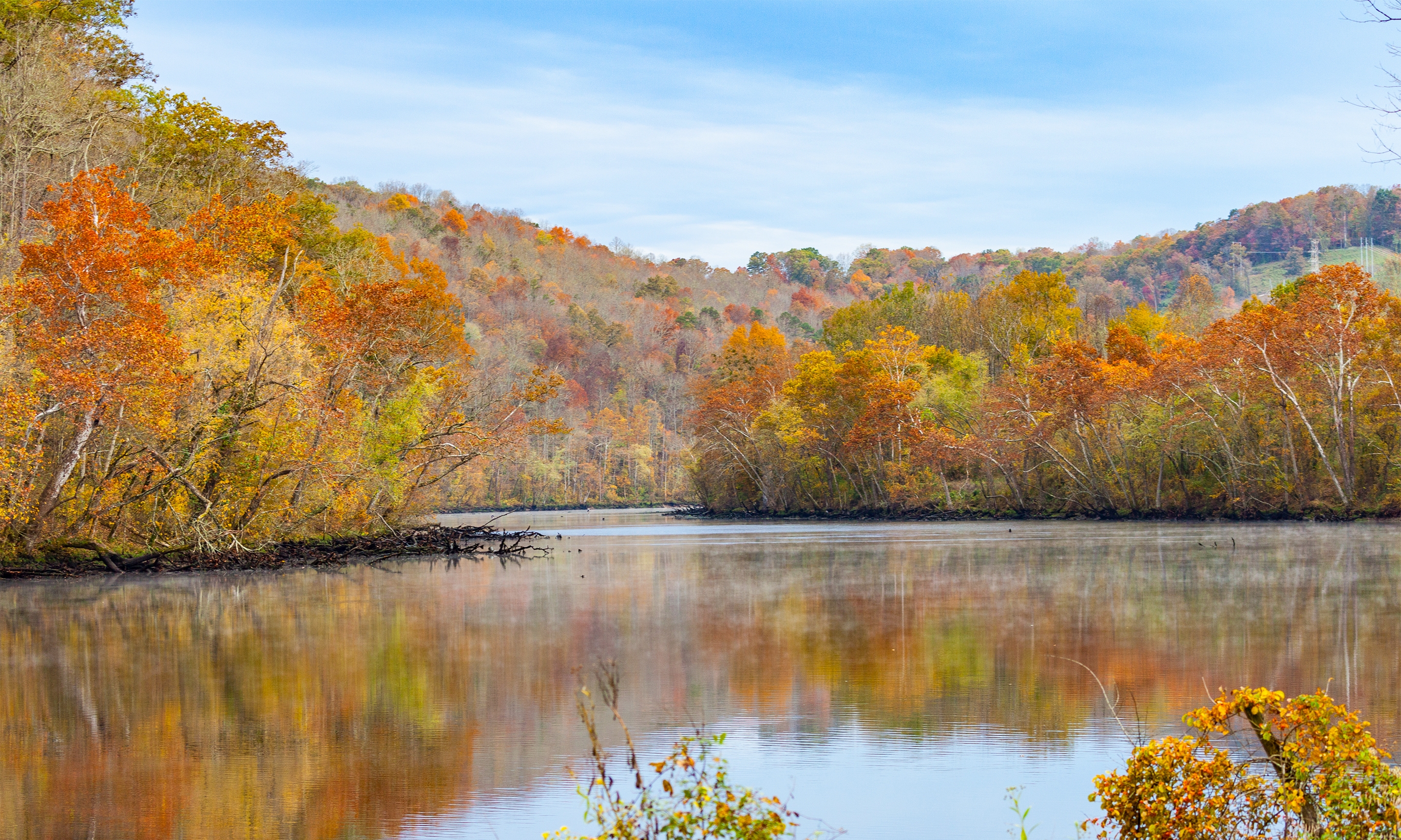 twin cove marina tn