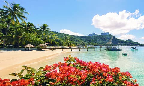 Ferienhäuser mit Strandzugang in Bora-Bora