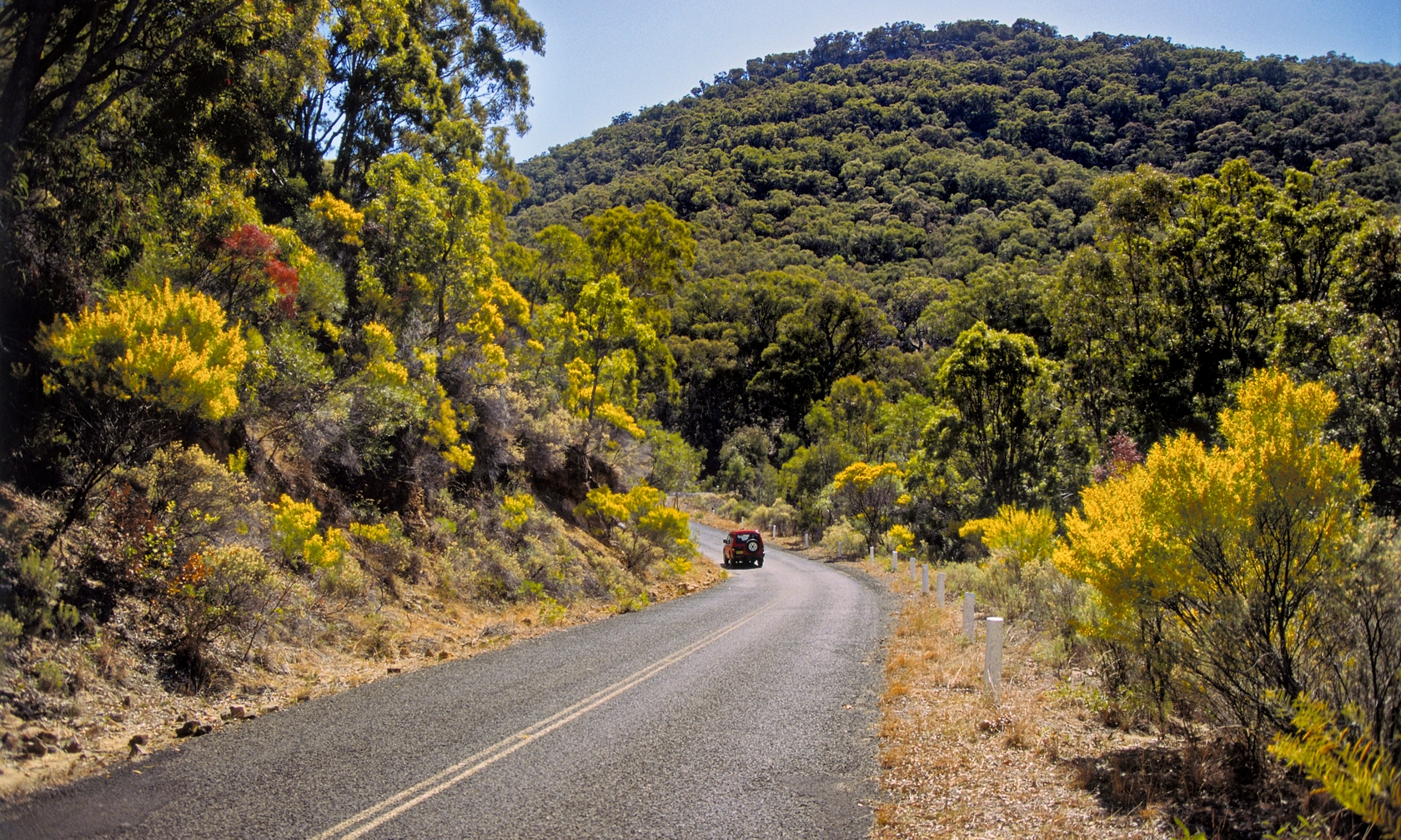 Dunedoo Holiday Rentals & Homes New South Wales, Australia Airbnb