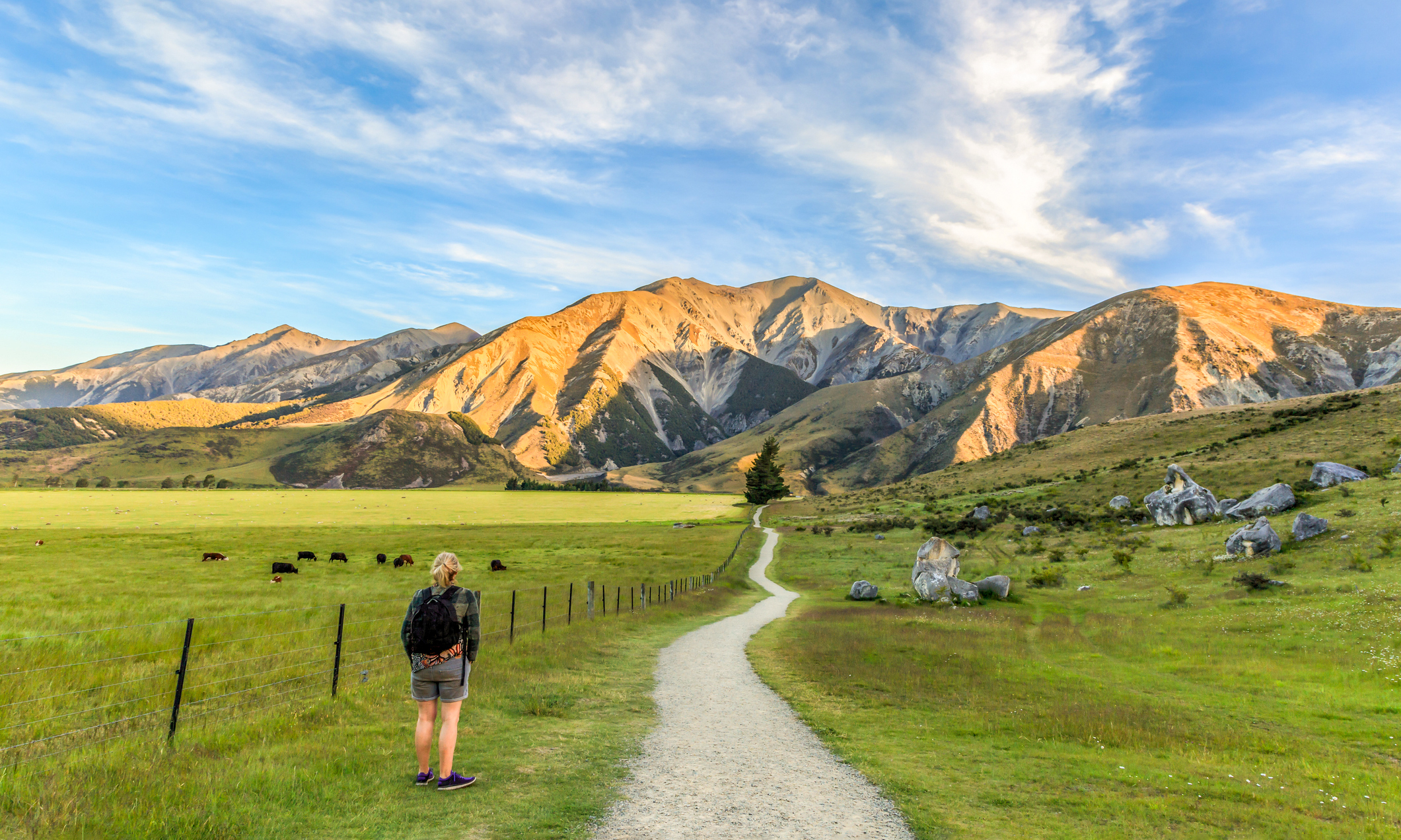 Where Is Castle Hill New Zealand