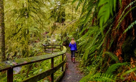 Vacation rentals in Olympic National Forest
