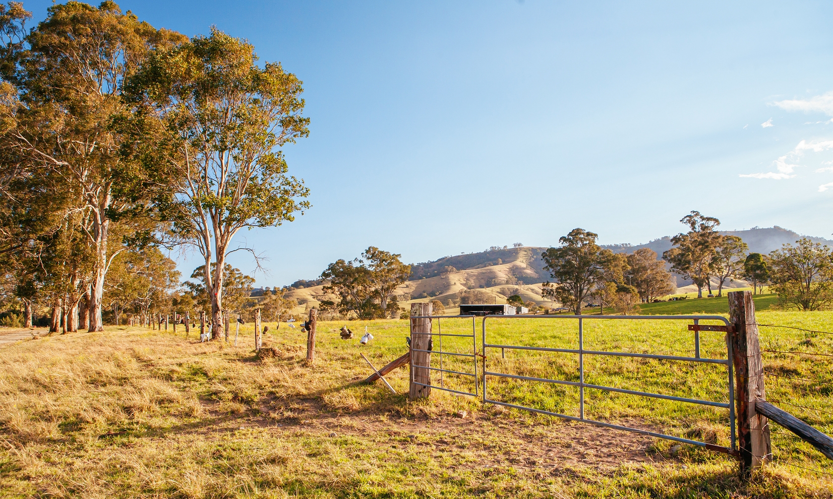 Holiday rental cabins in Dungog