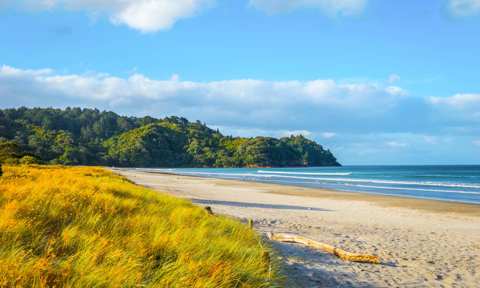 Ferieboliger i Waihi Beach