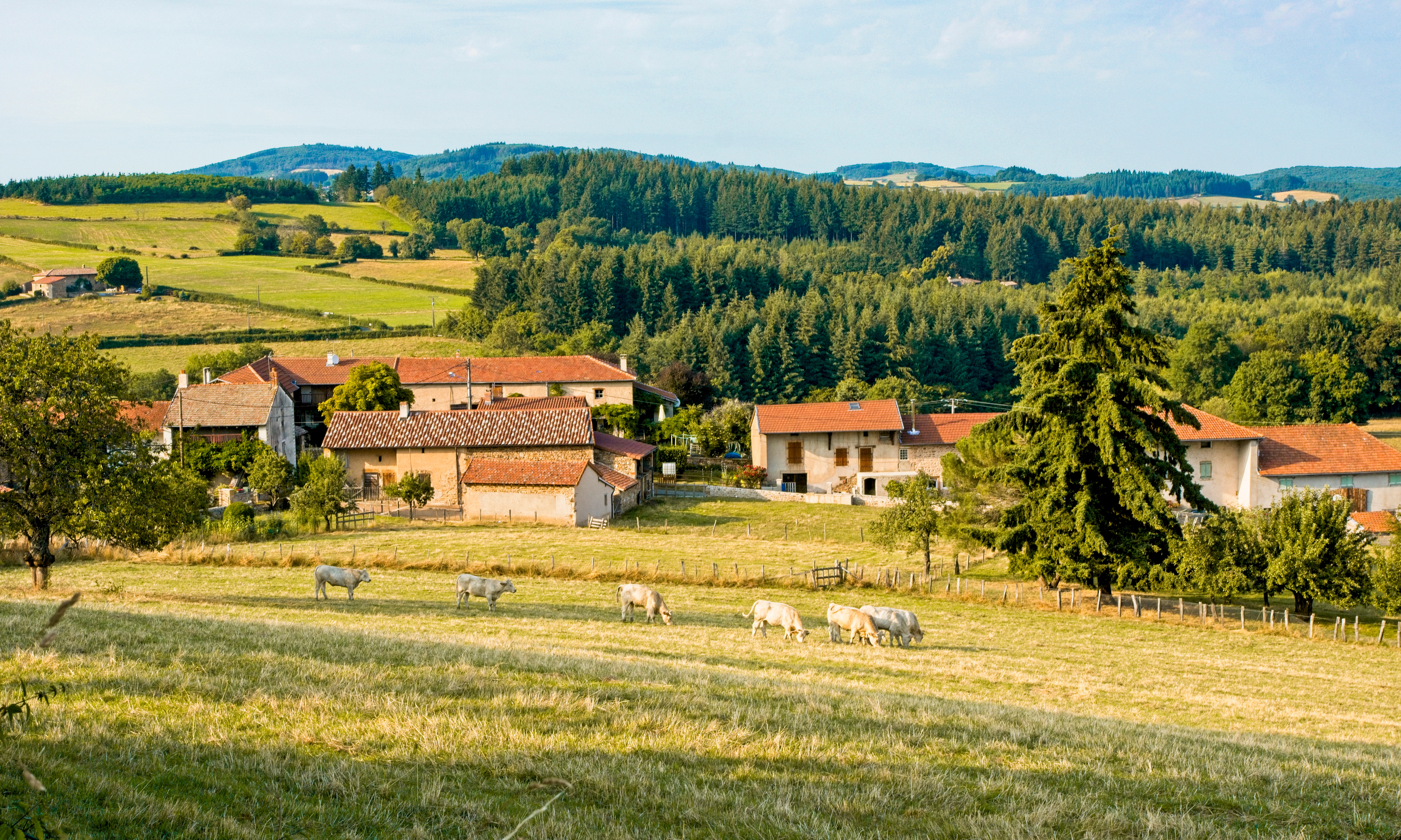 Château Жилье - Bourgogne-Franche-Comté, Франция | Airbnb